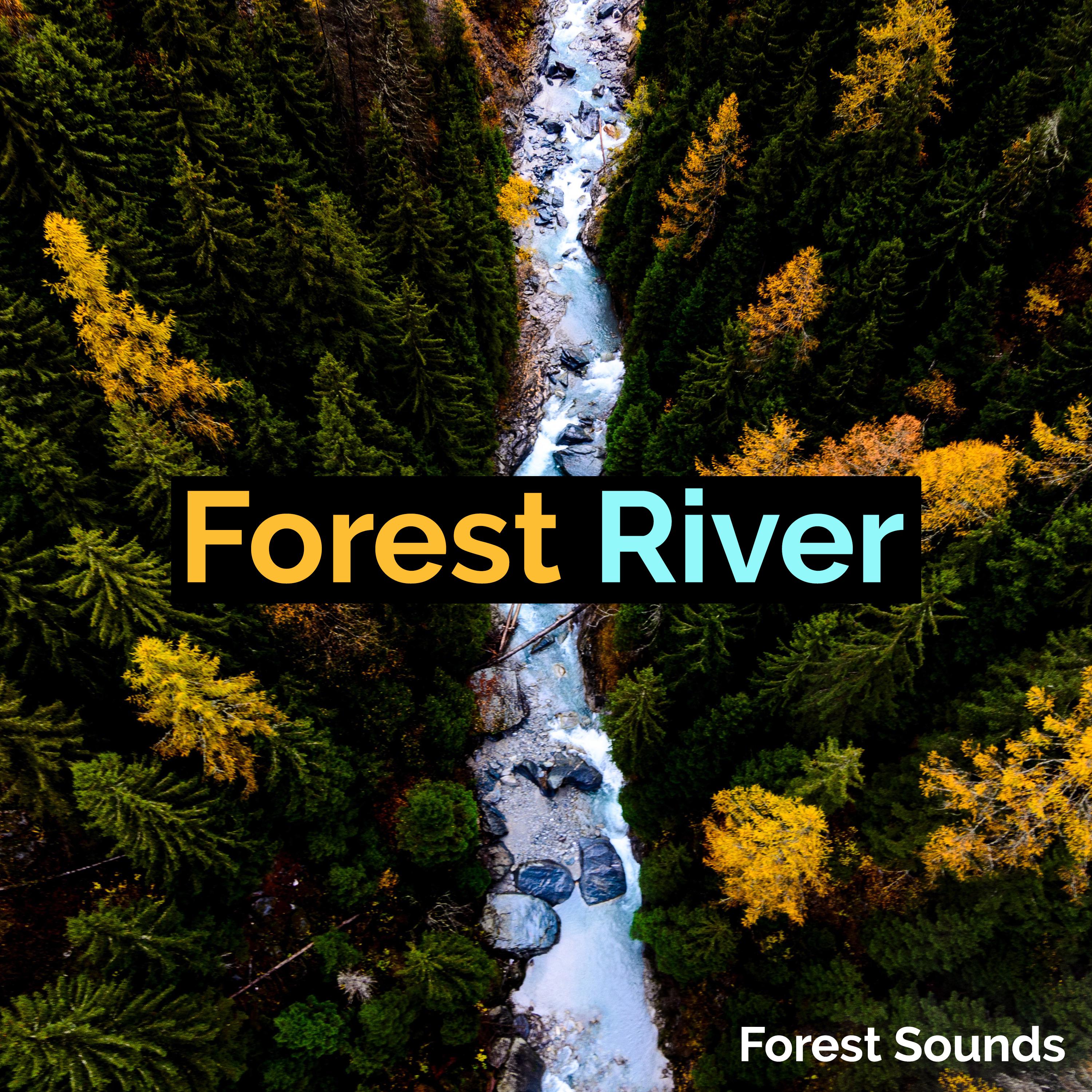 Forest River