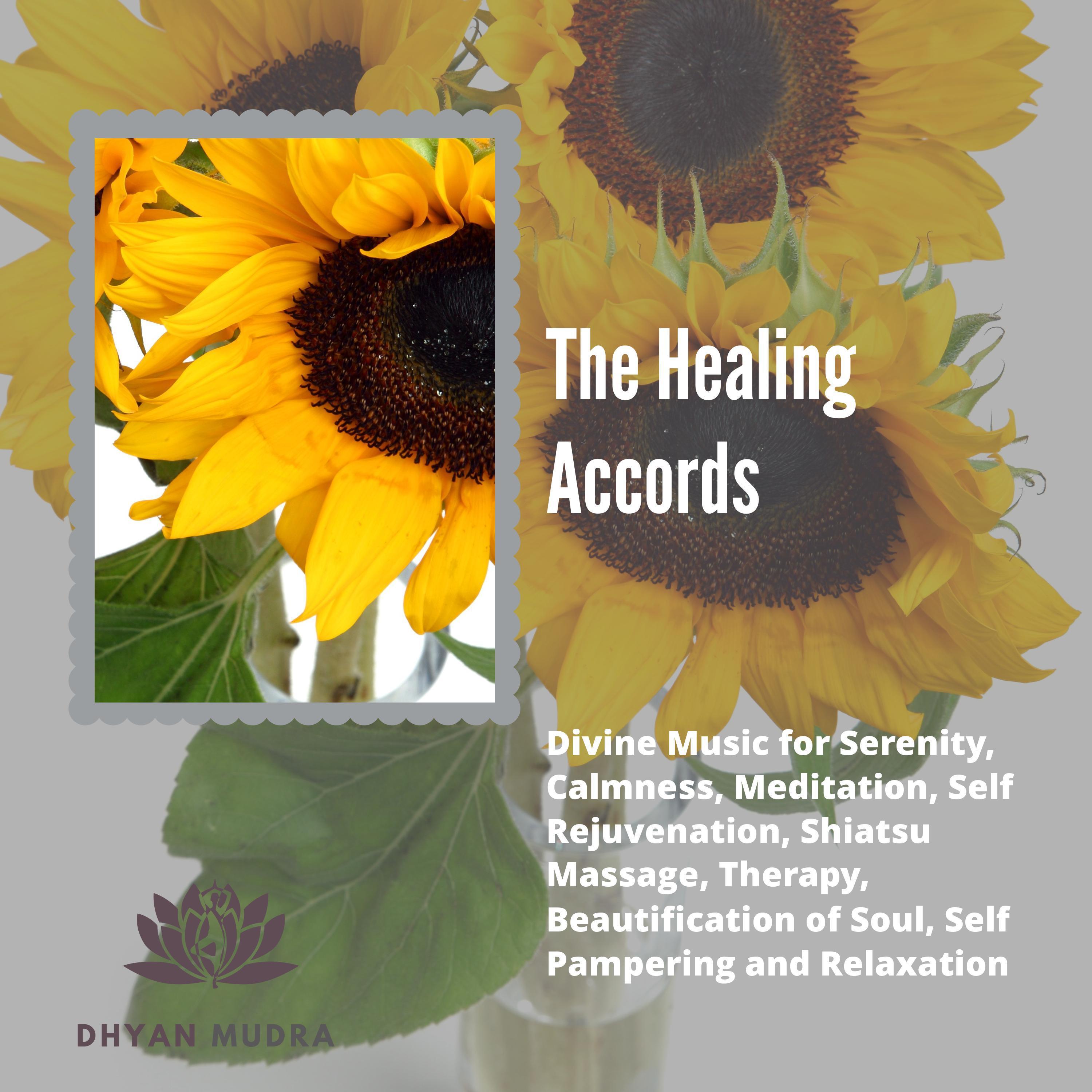 The Healing Accords (Divine Music For Serenity, Calmness, Meditation, Self Rejuvenation, Shiatsu Massage, Therapy, Beautification Of Soul, Self Pampering And Relaxation)