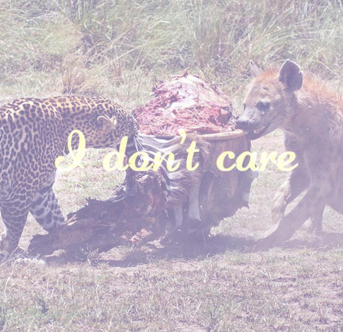 I Don't Care！！！