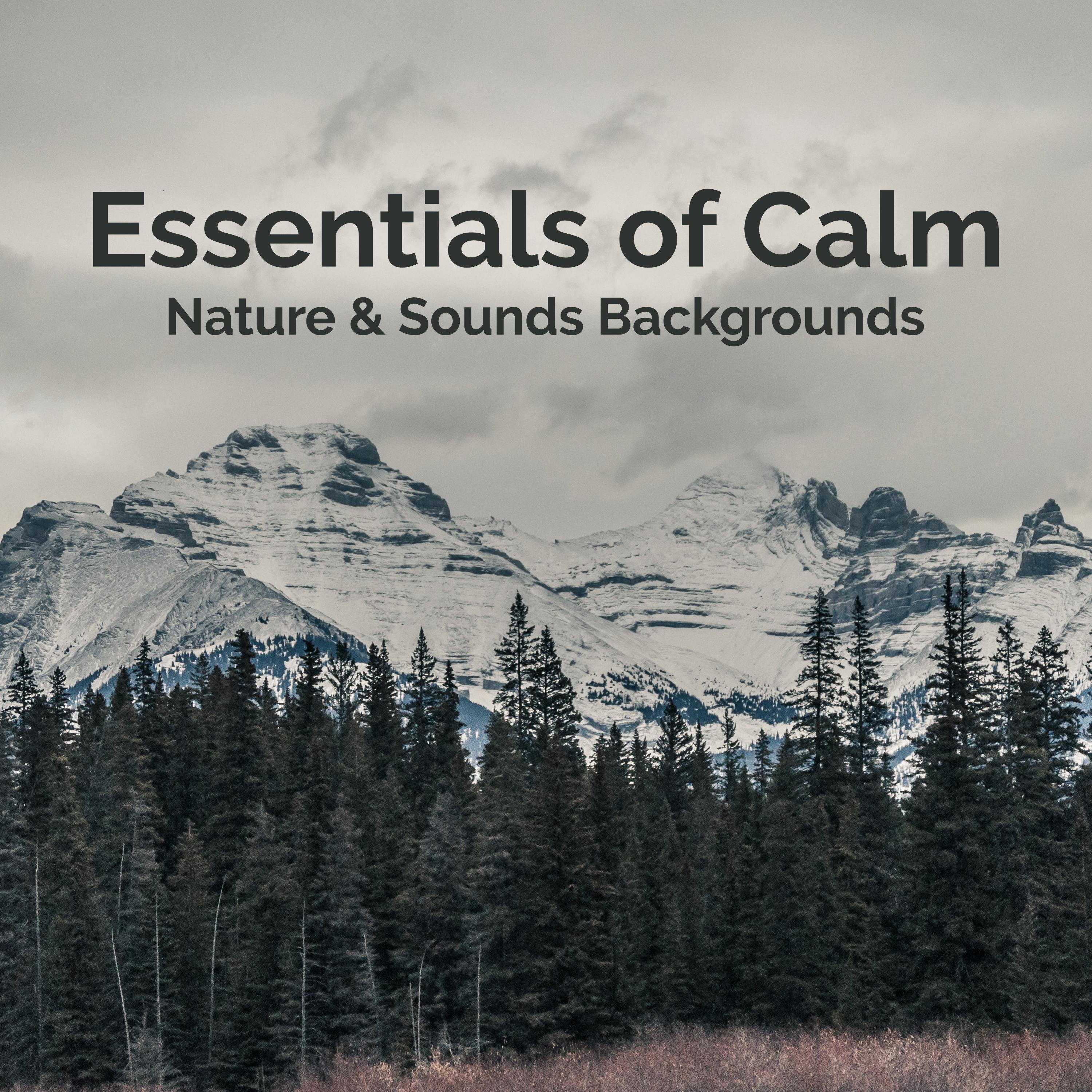 Essentials of Calm