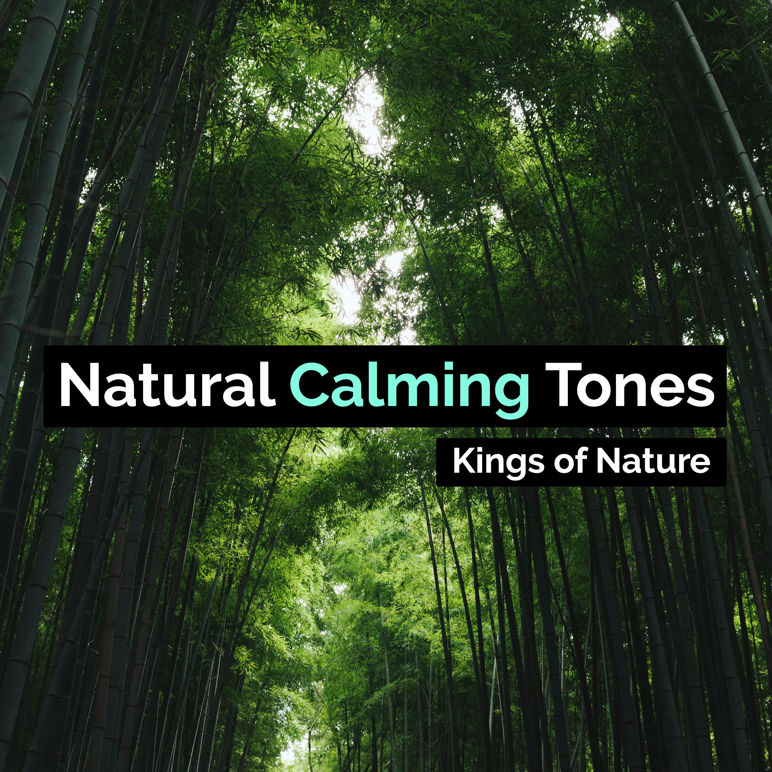 Natural Calming Tones