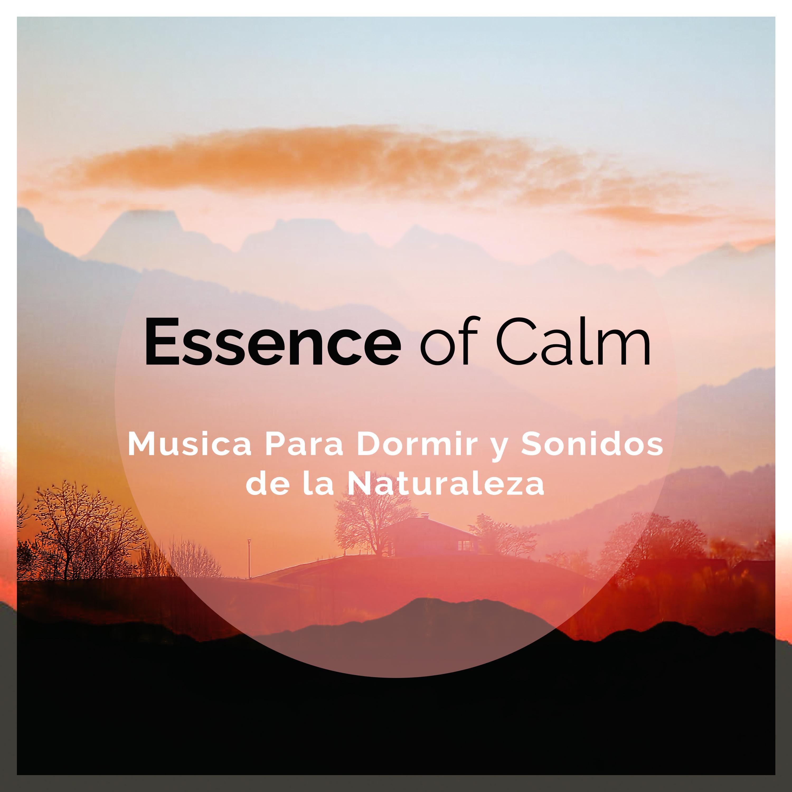 Essence of Calm