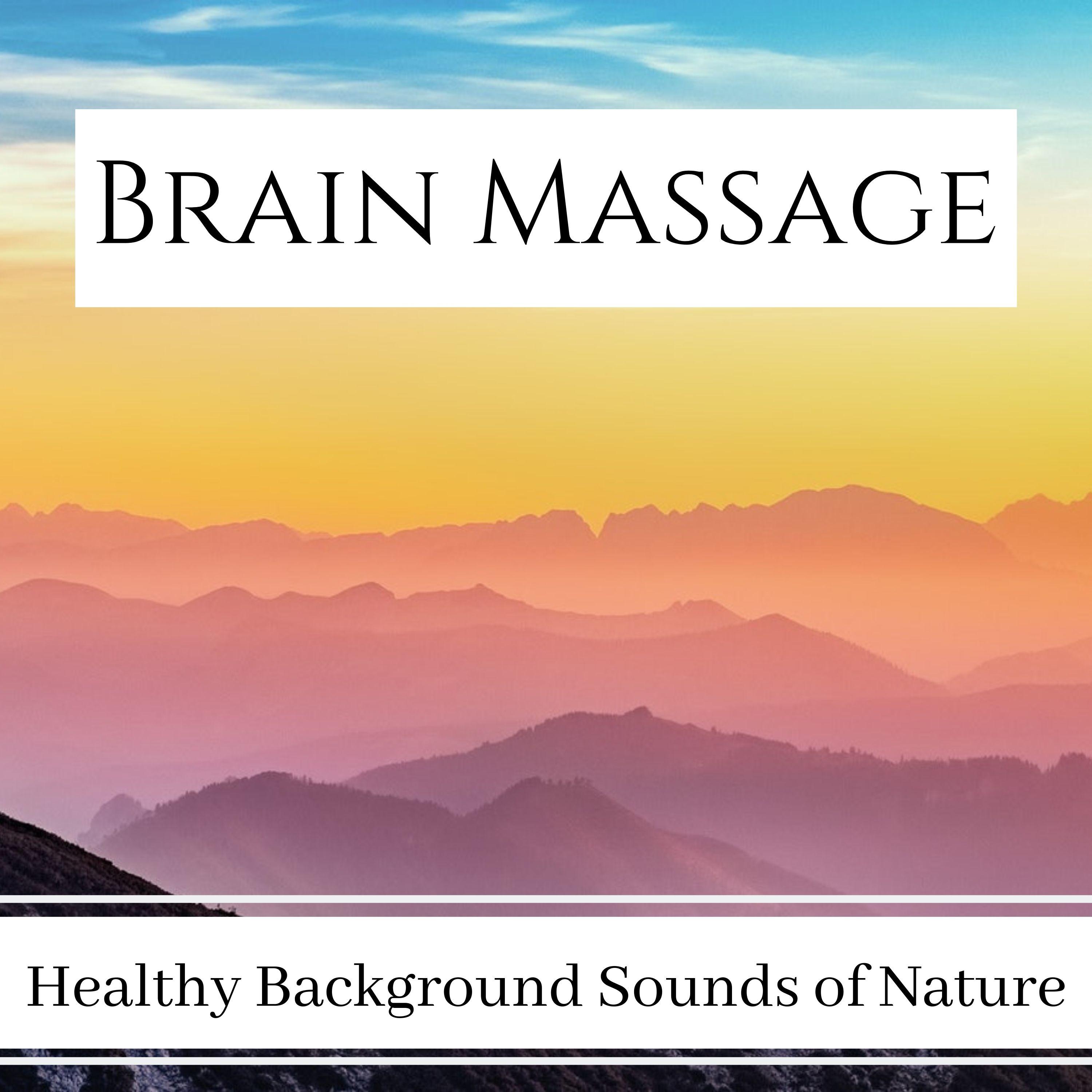 Brain Massage - Constant Tinnitus Removal, Healthy Background Sounds of Nature