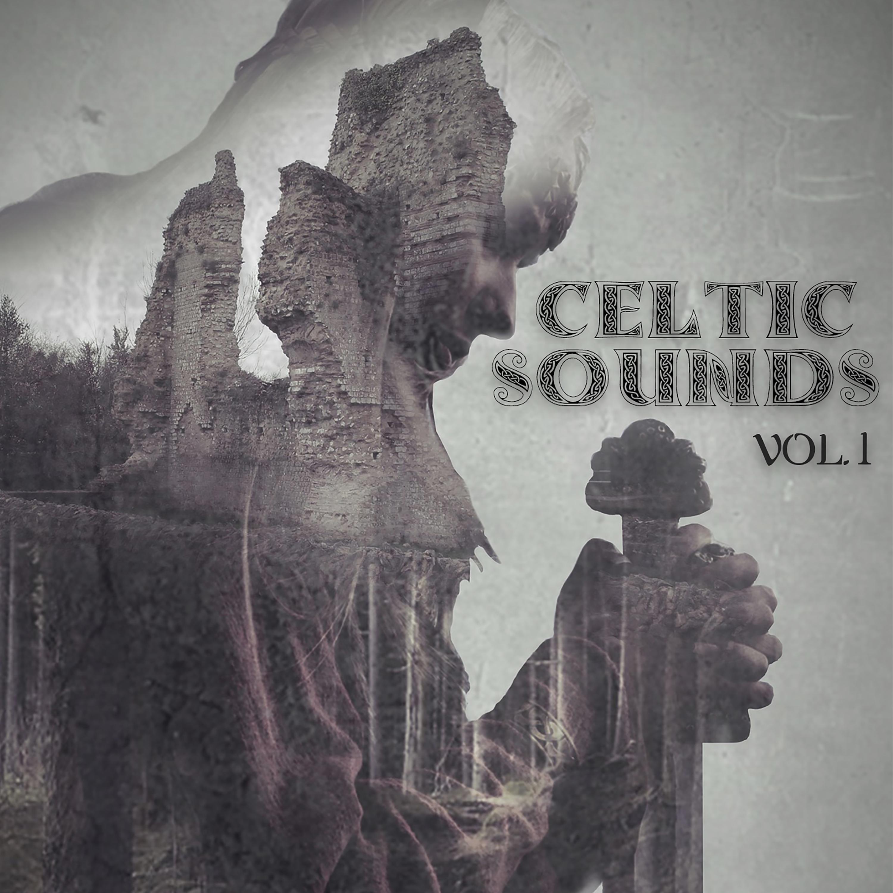 Celtic Sounds Vol.1