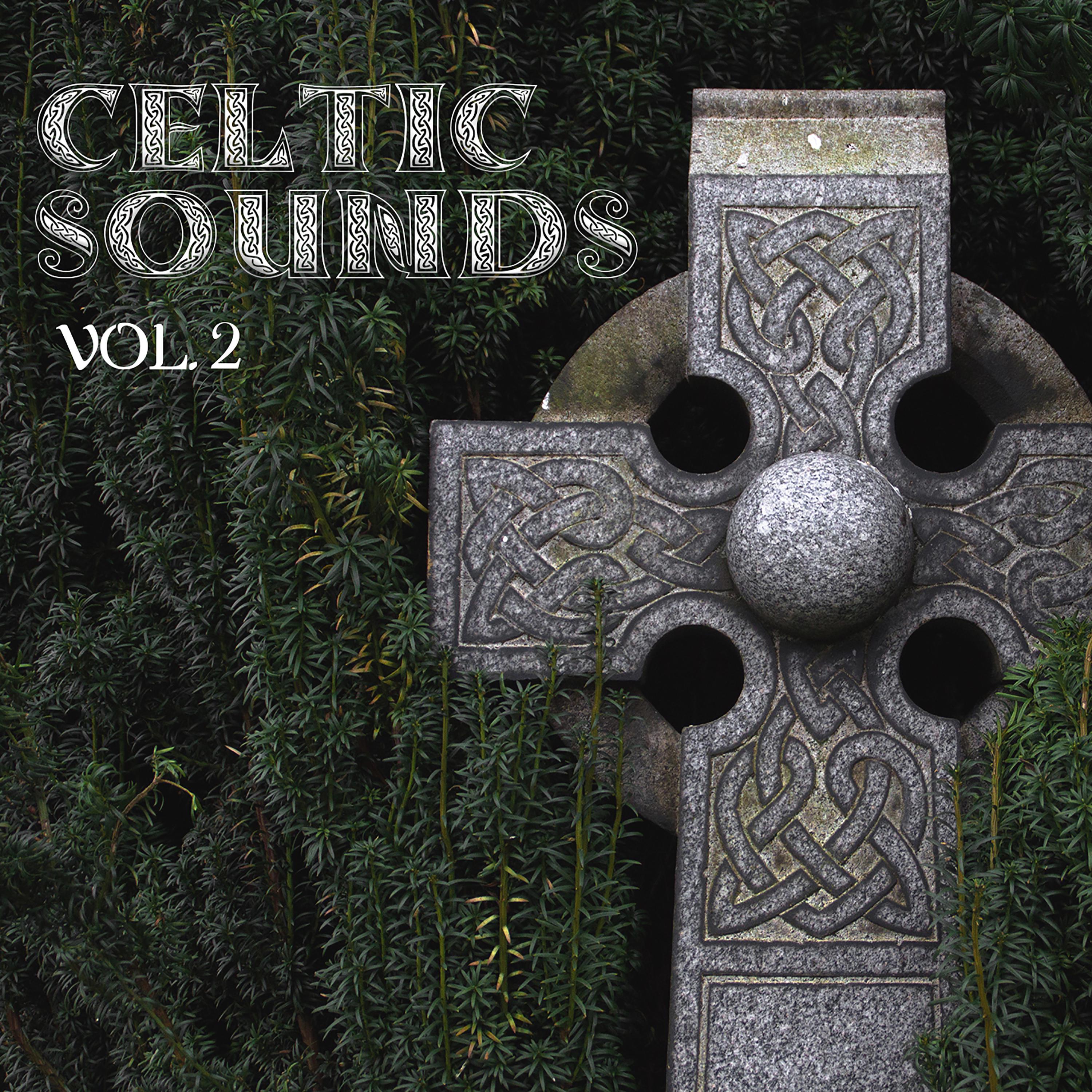 Celtic Sounds Vol.2