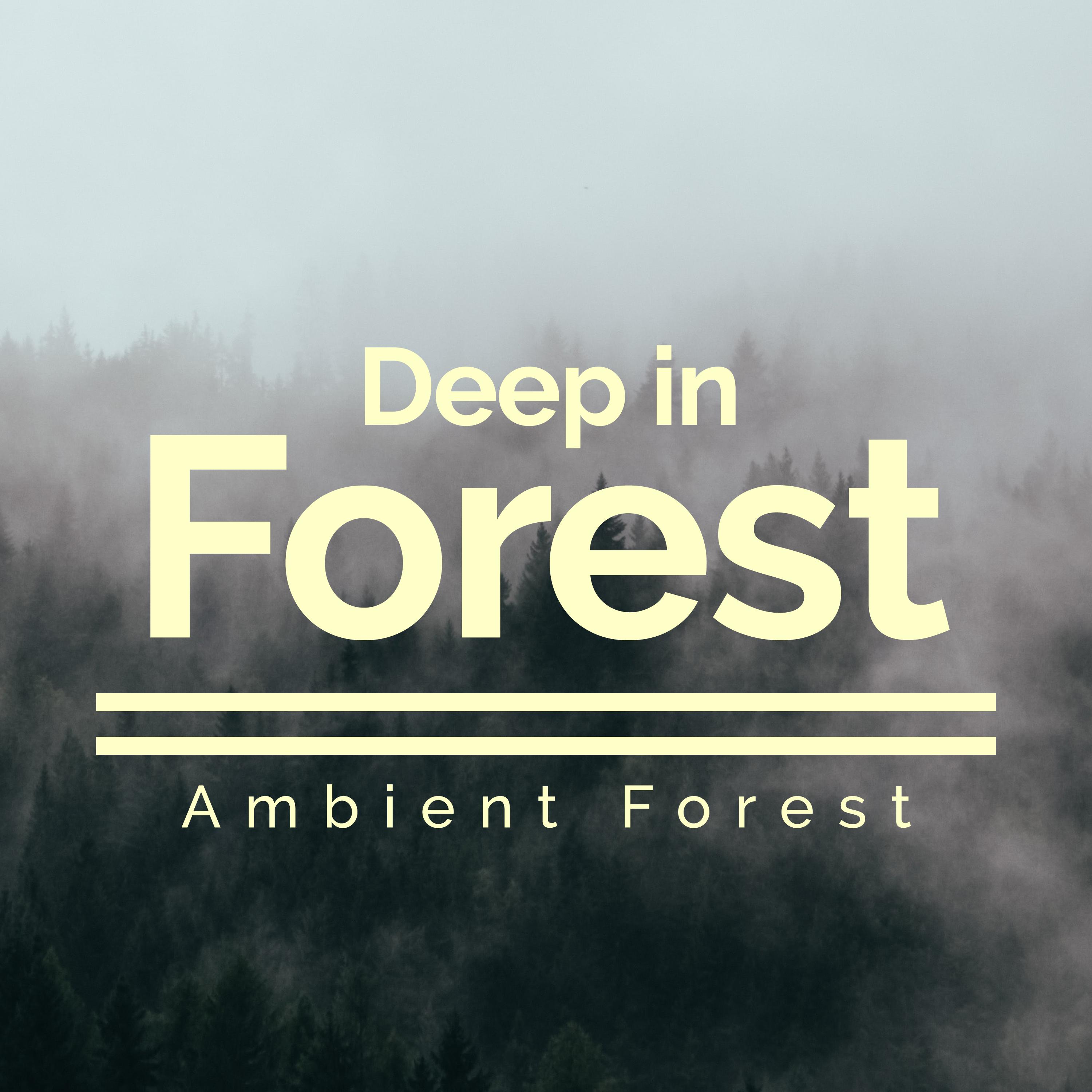 Deep in Forest