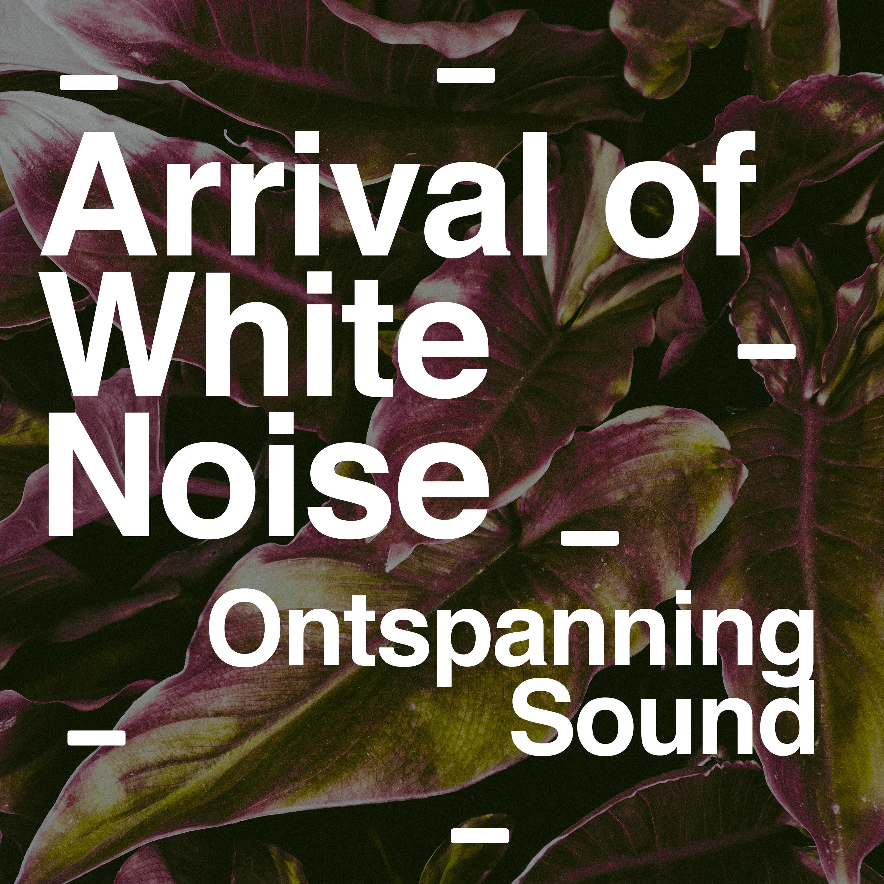 Arrival of White Noise