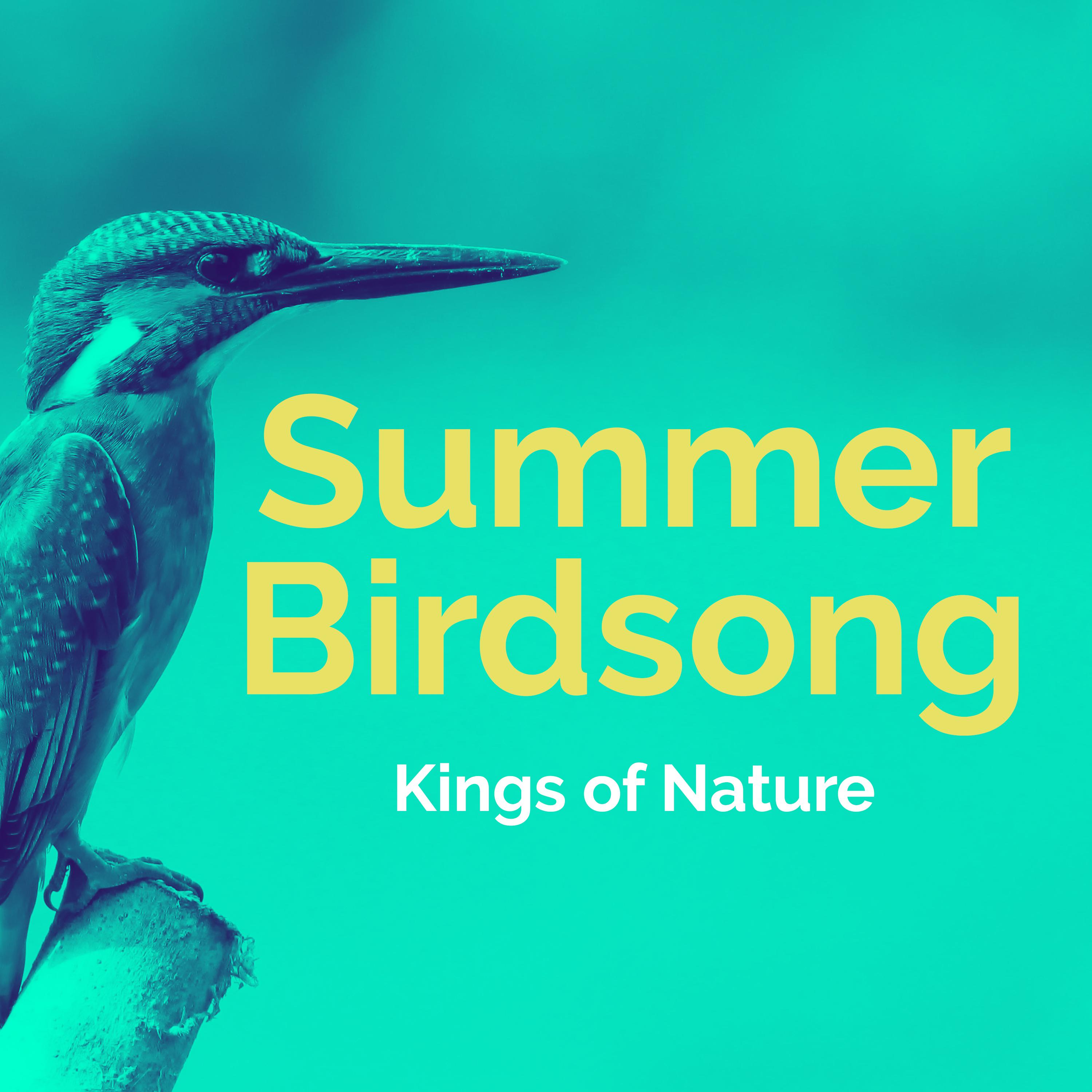 Summer Birdsong