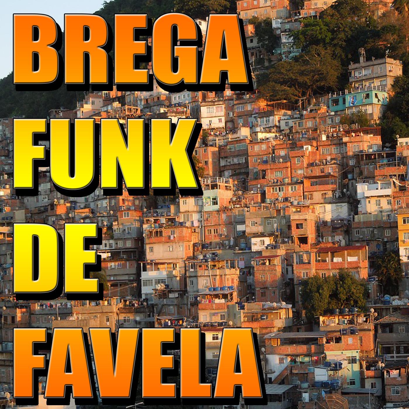 Bregafunk de Favela