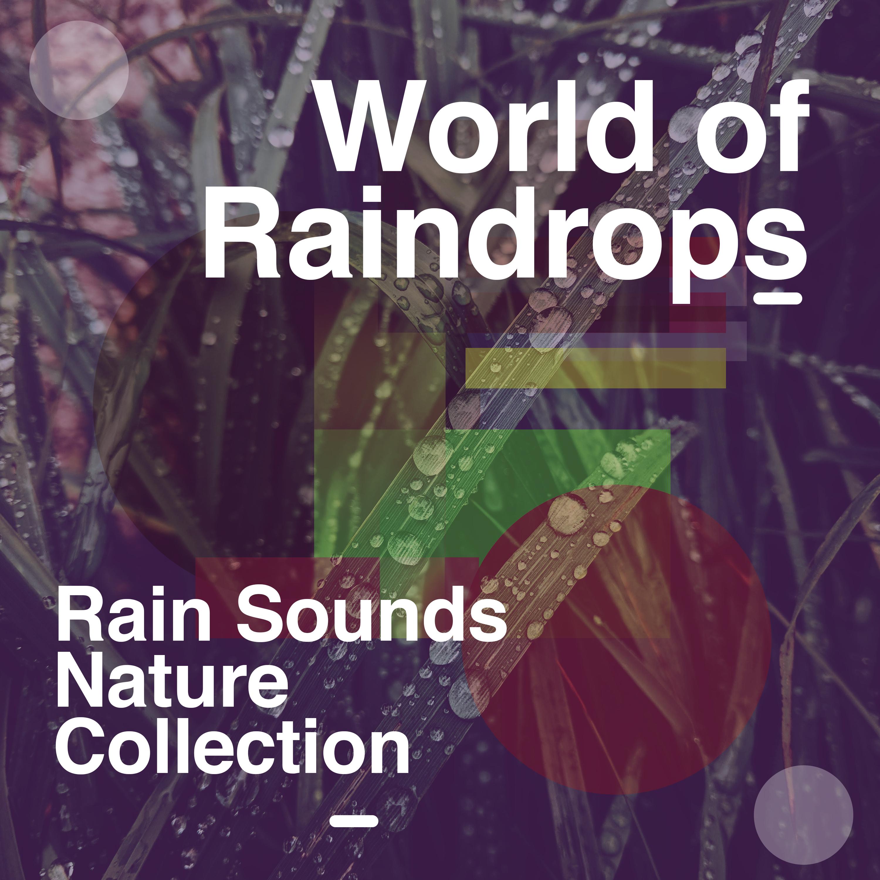 World of Raindrops