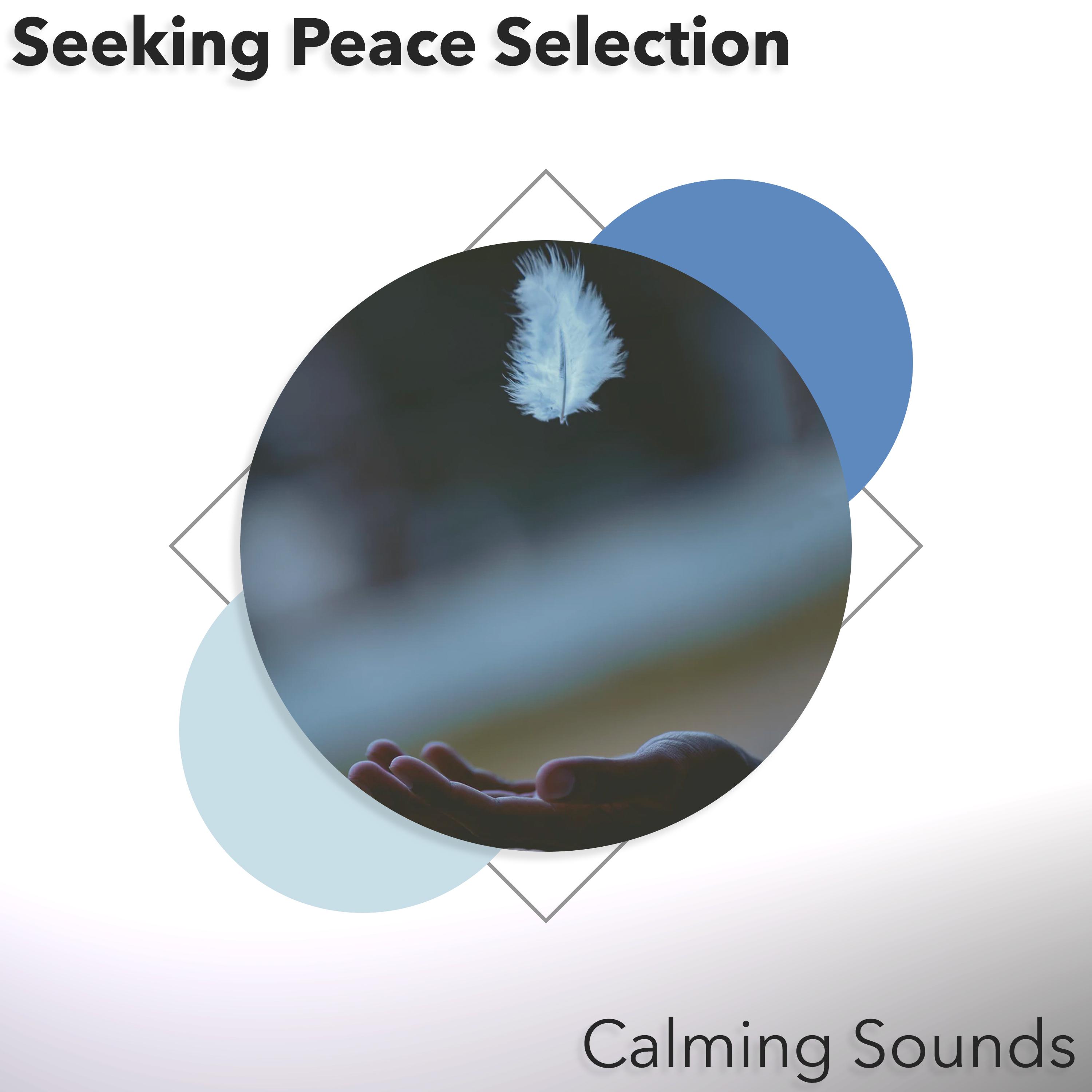 Seeking Peace Selection