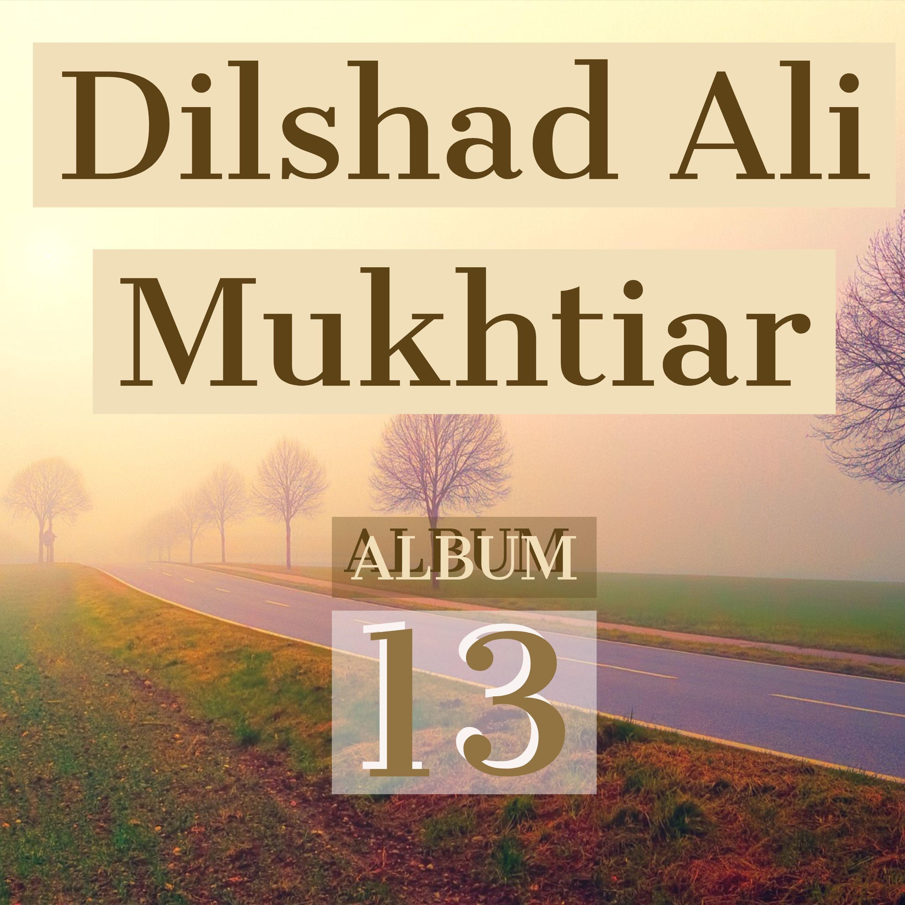 Dilshad Ali Mukhtiar (Album 13)