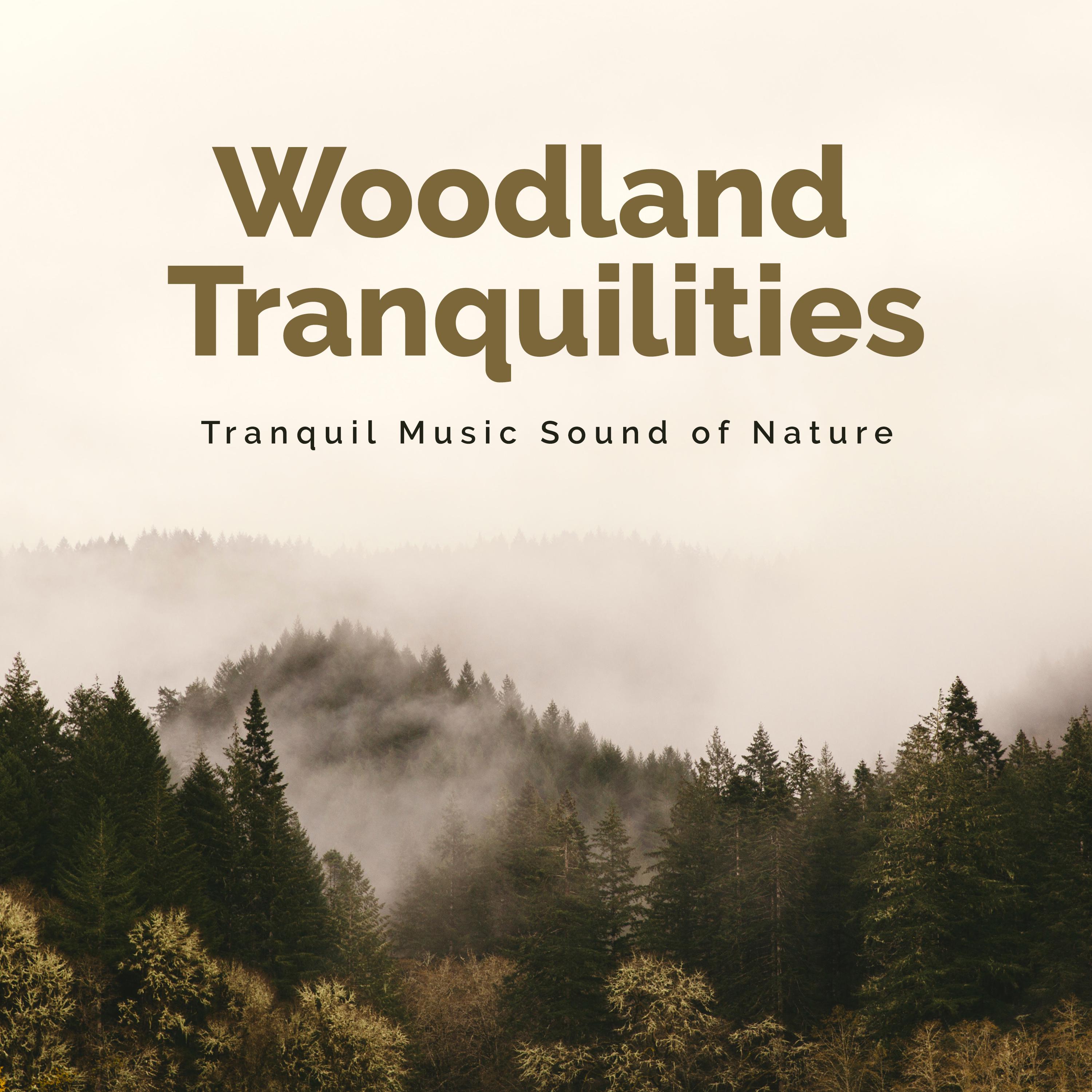 Woodland Tranquilities