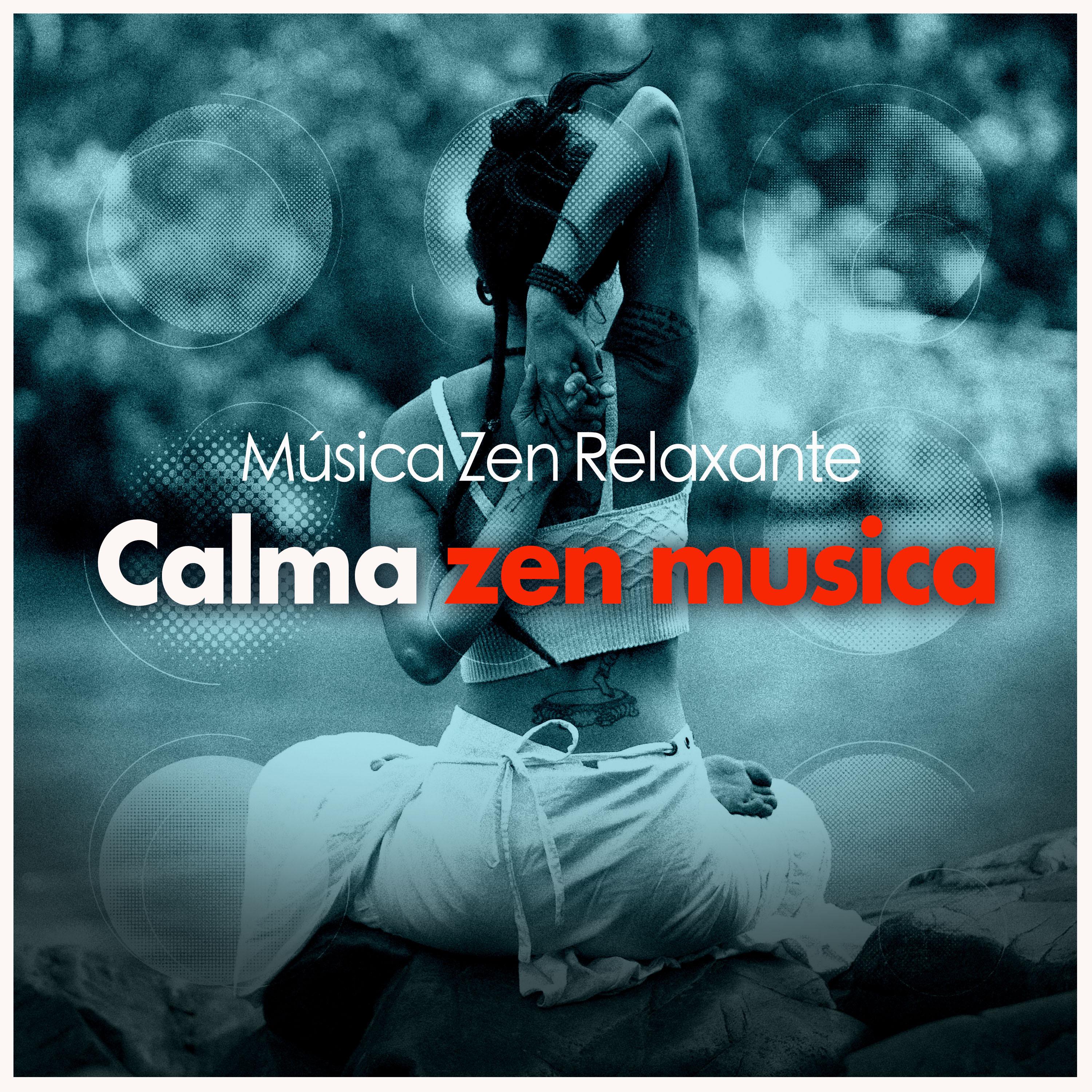 Calma zen musica