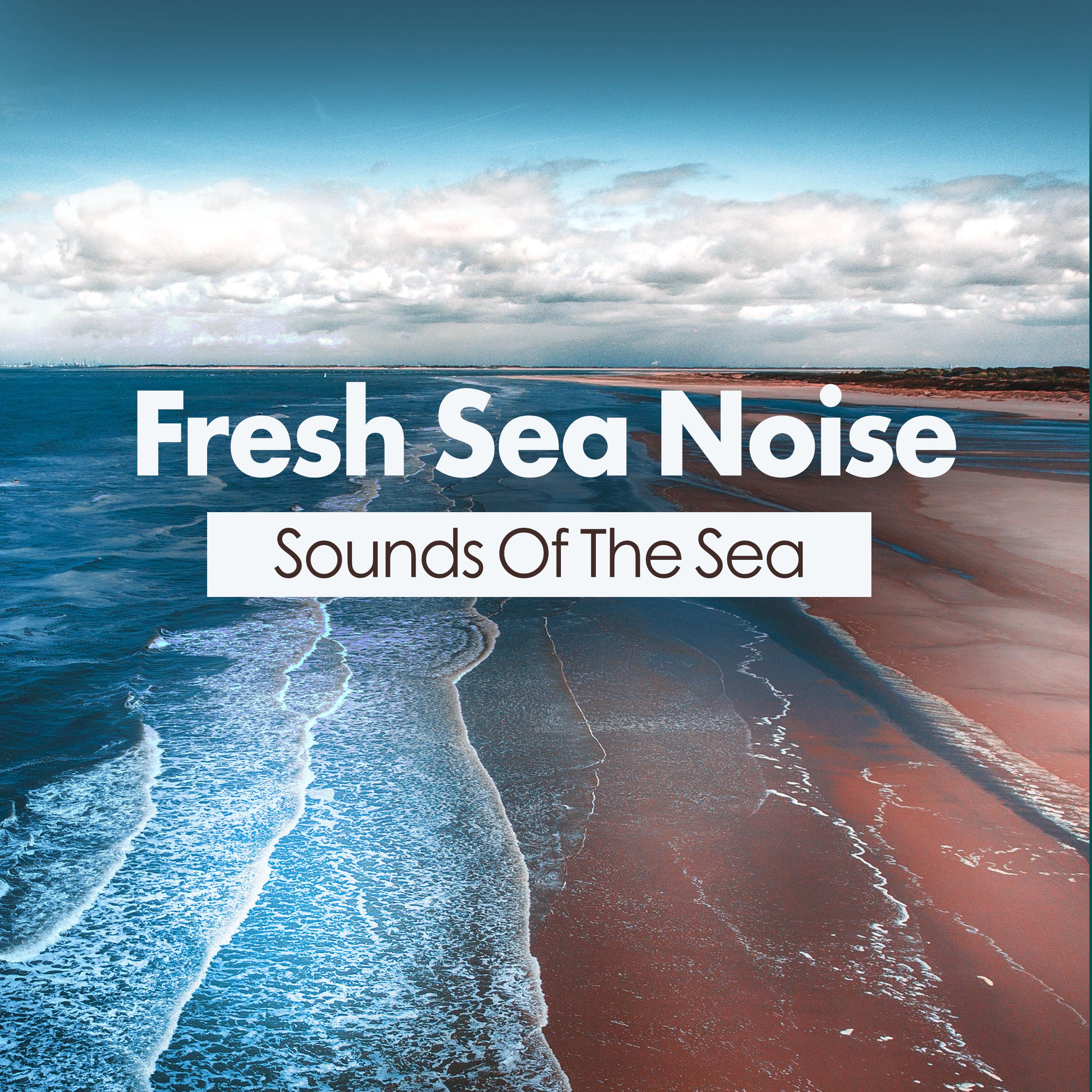 Fresh Sea Noise