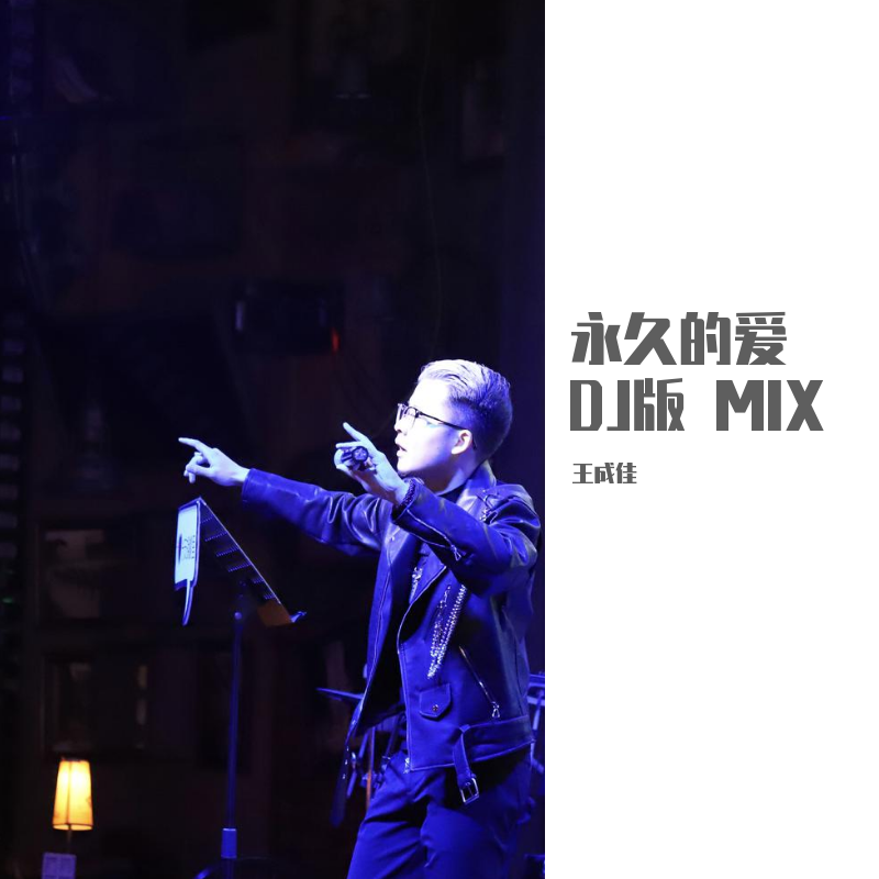 永久的爱DJ版 MIX