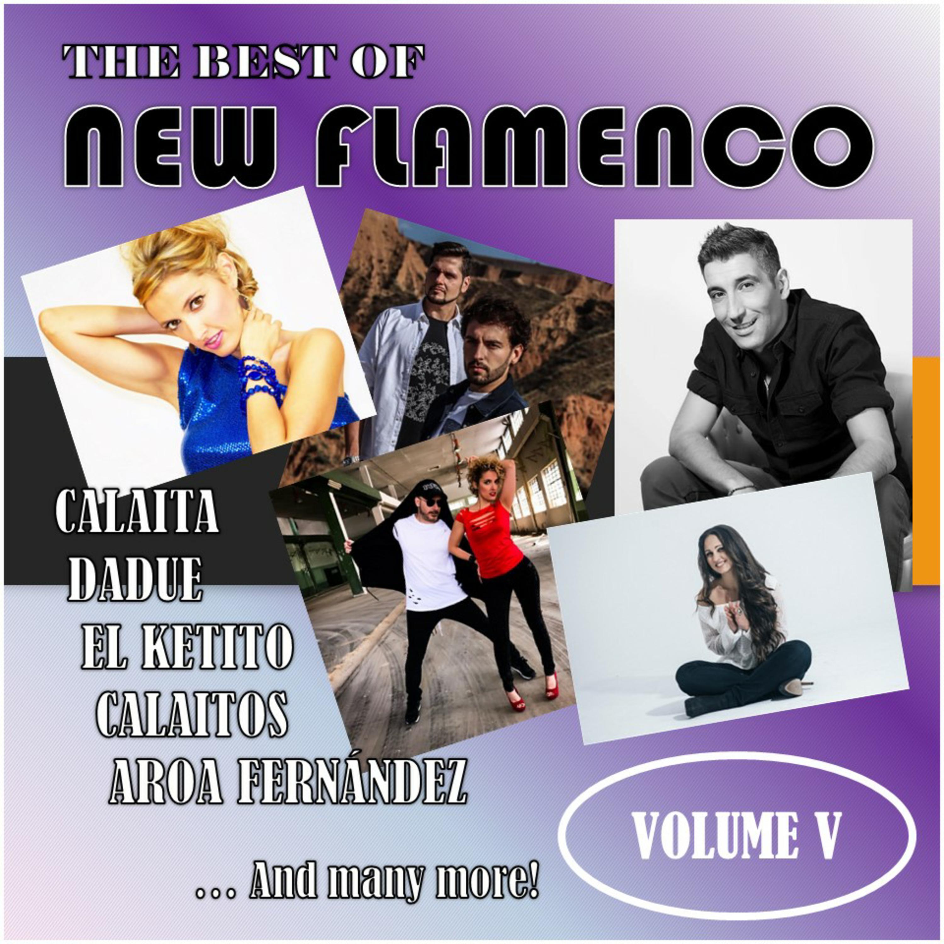 The Best of New Flamenco, Vol. V