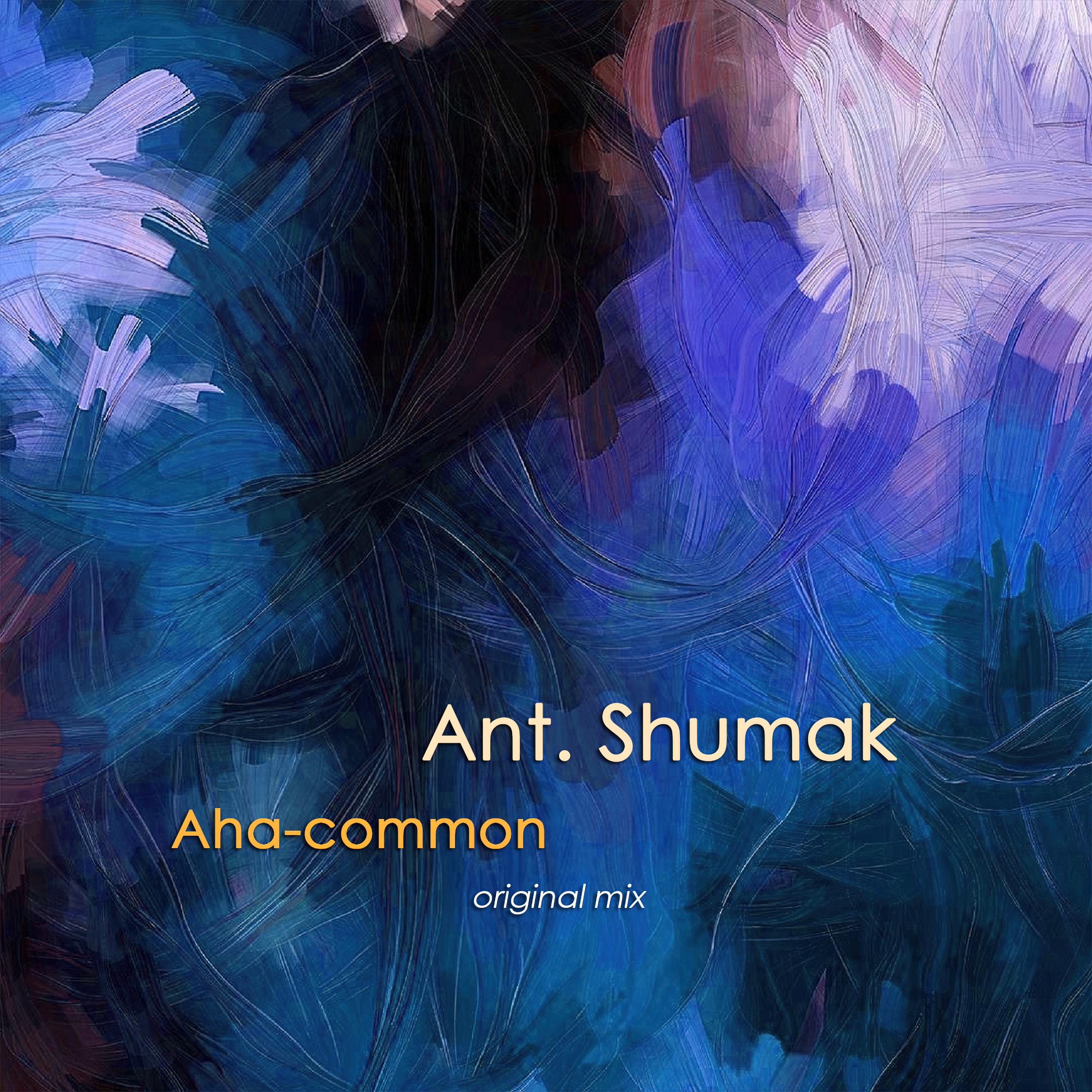 Aha-Common