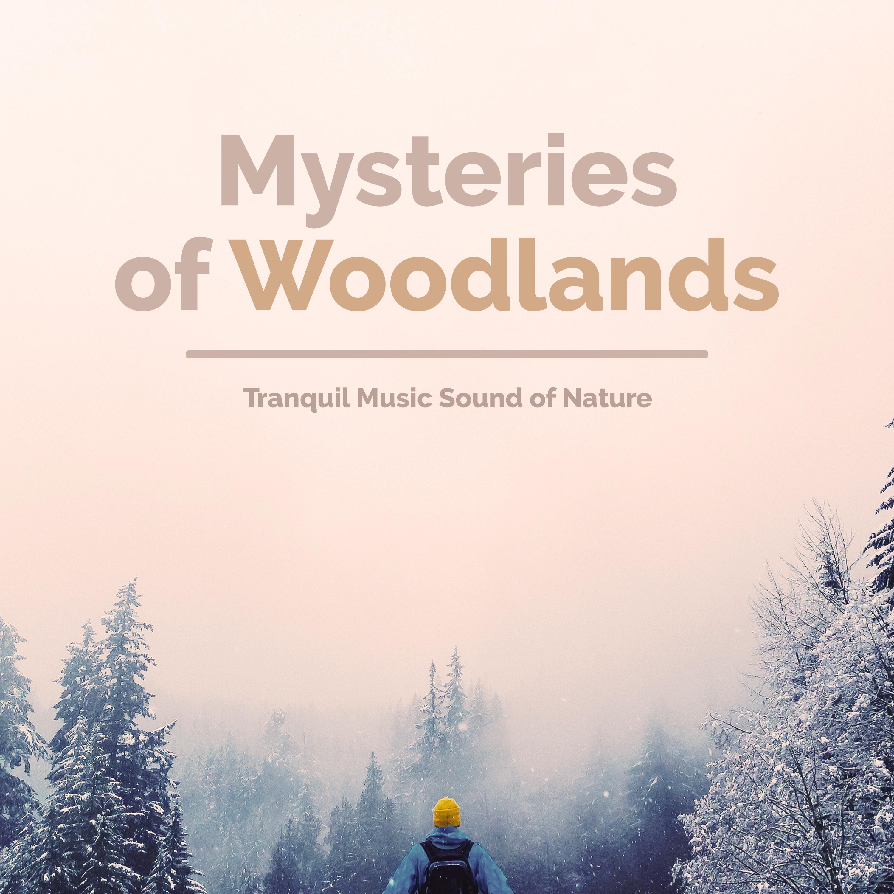 Mysteries of Woodlands