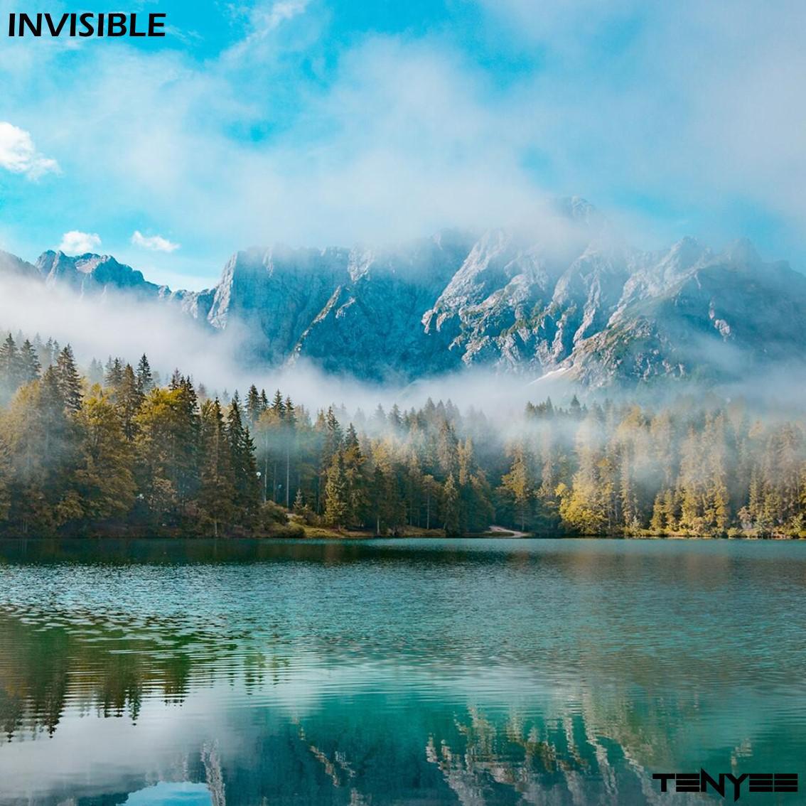 Invisible