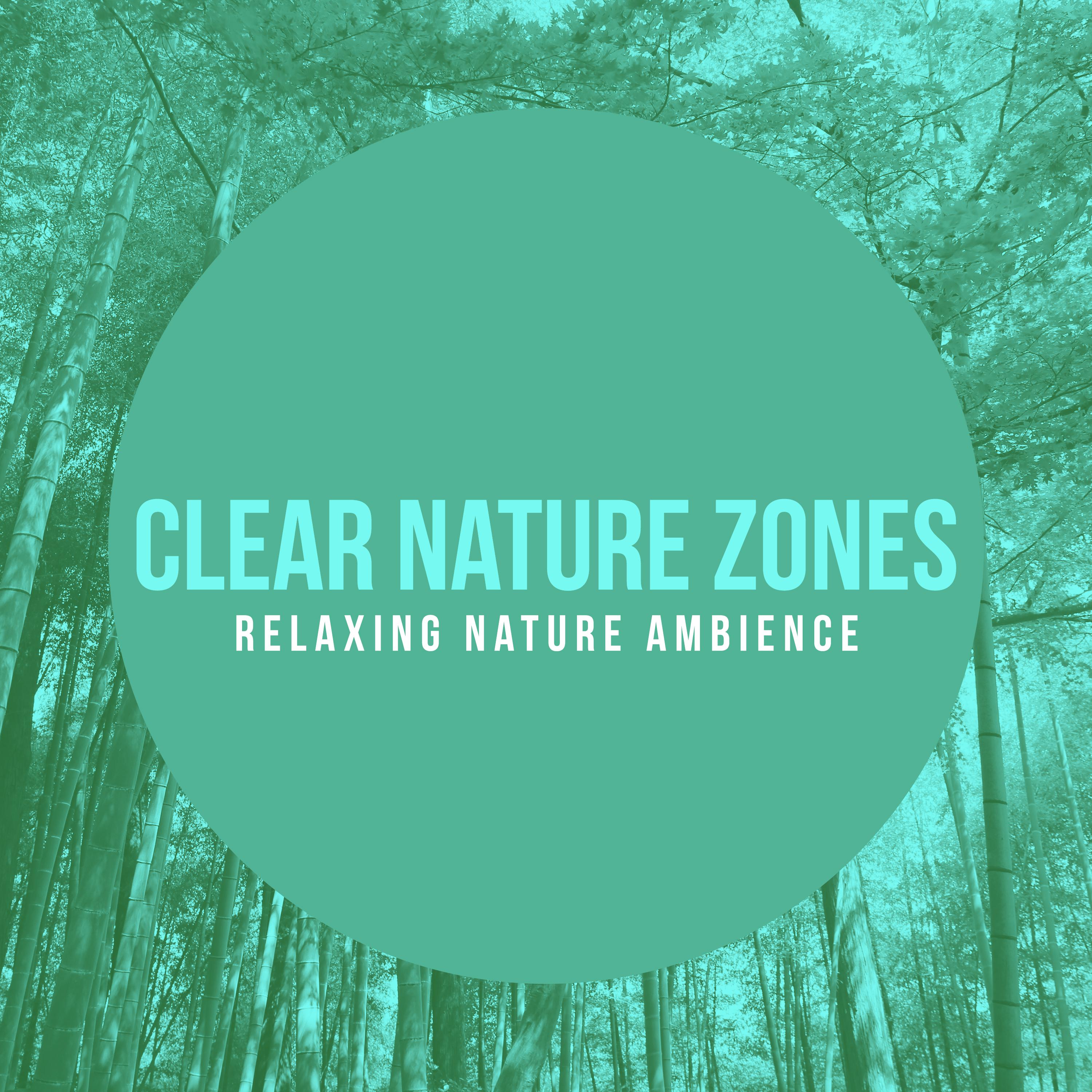 Clear Nature Zones