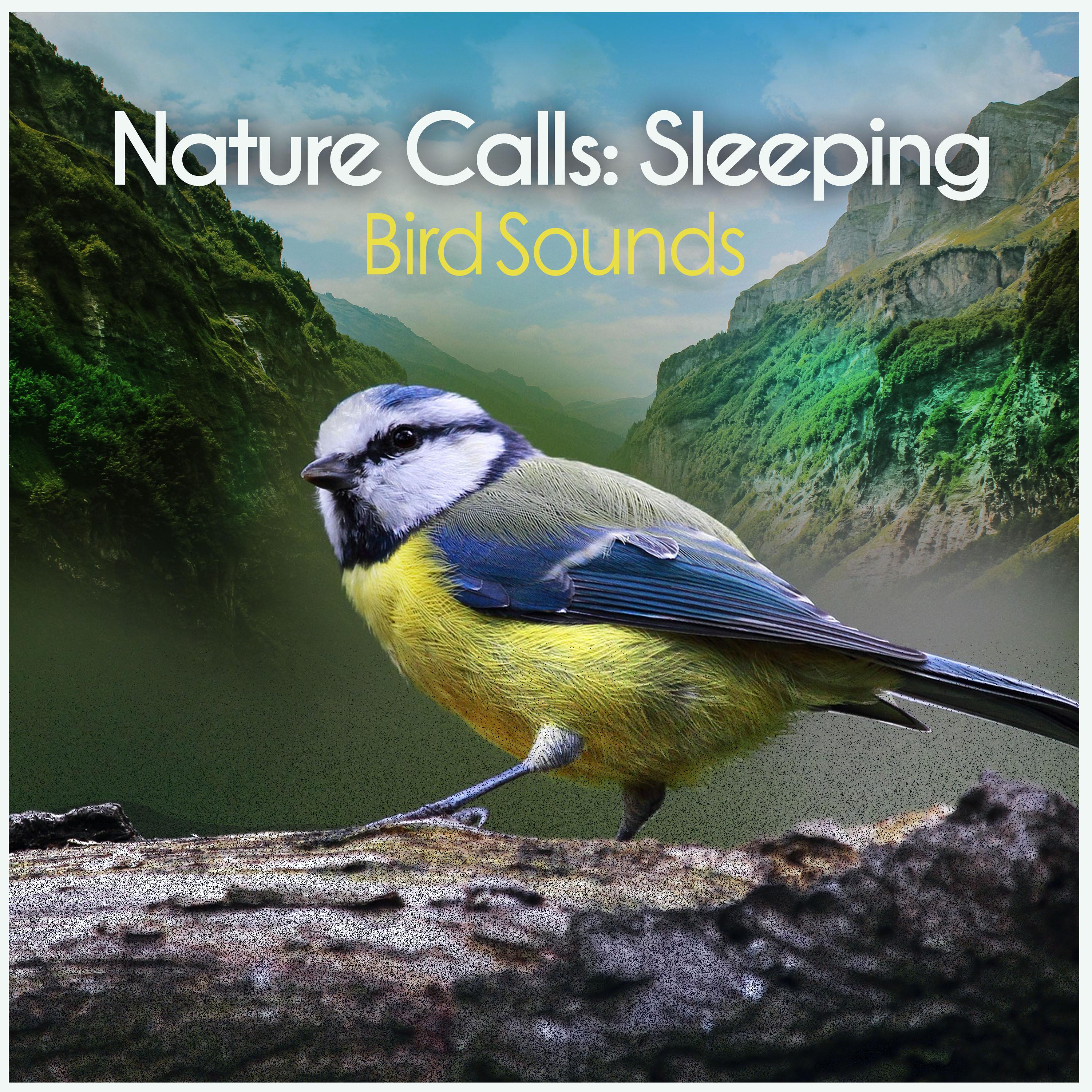 Nature Calls: Sleeping