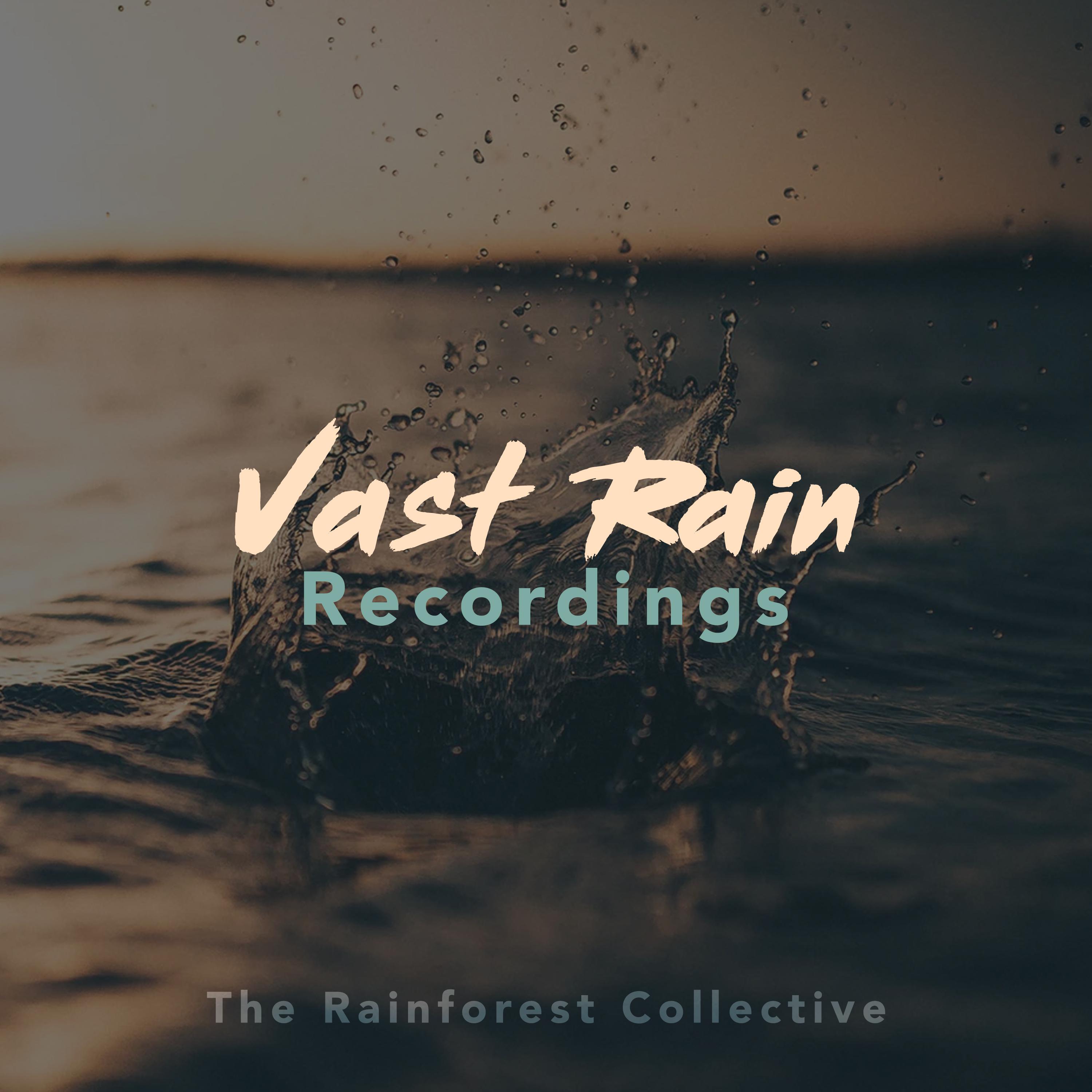Vast Rain Recordings