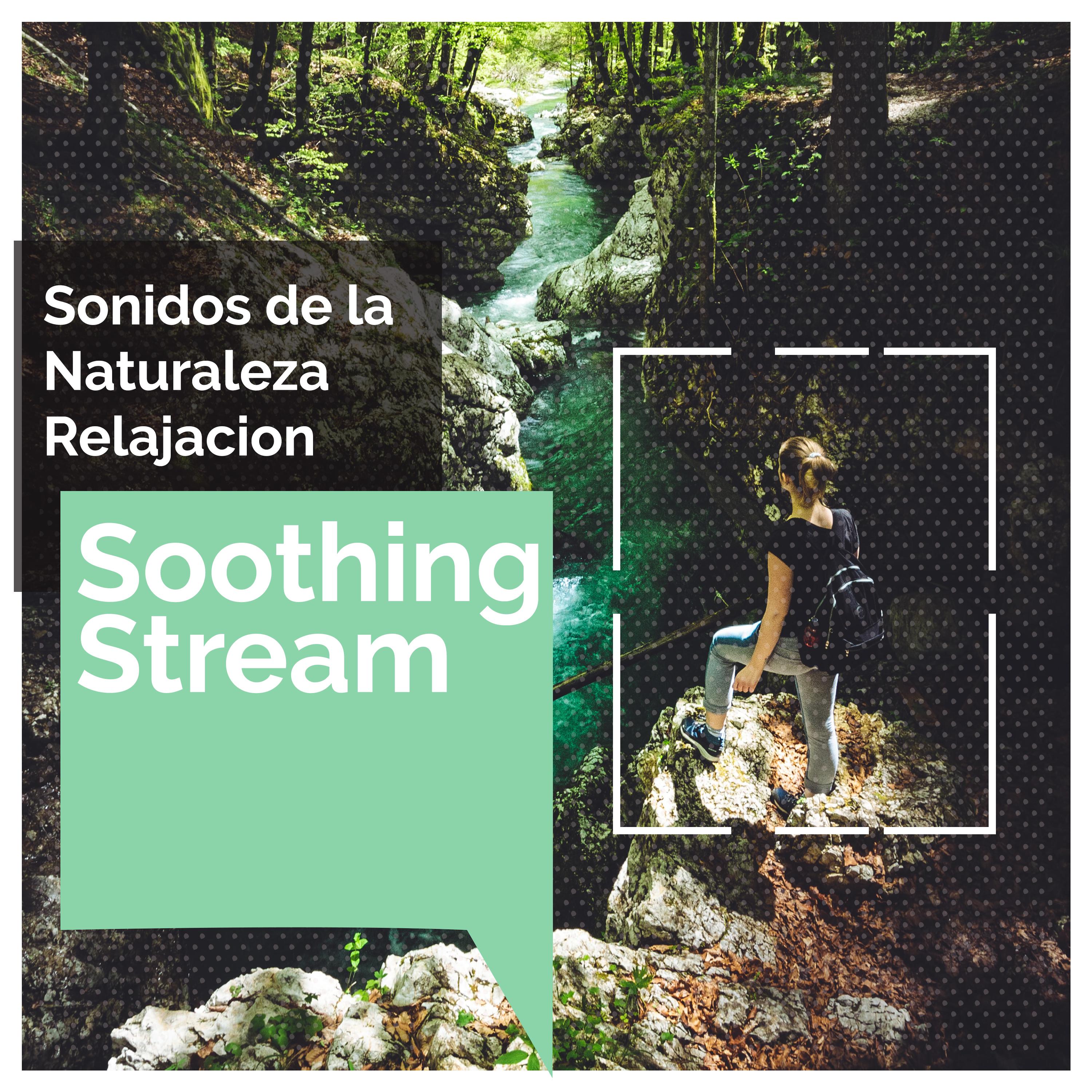Soothing Stream