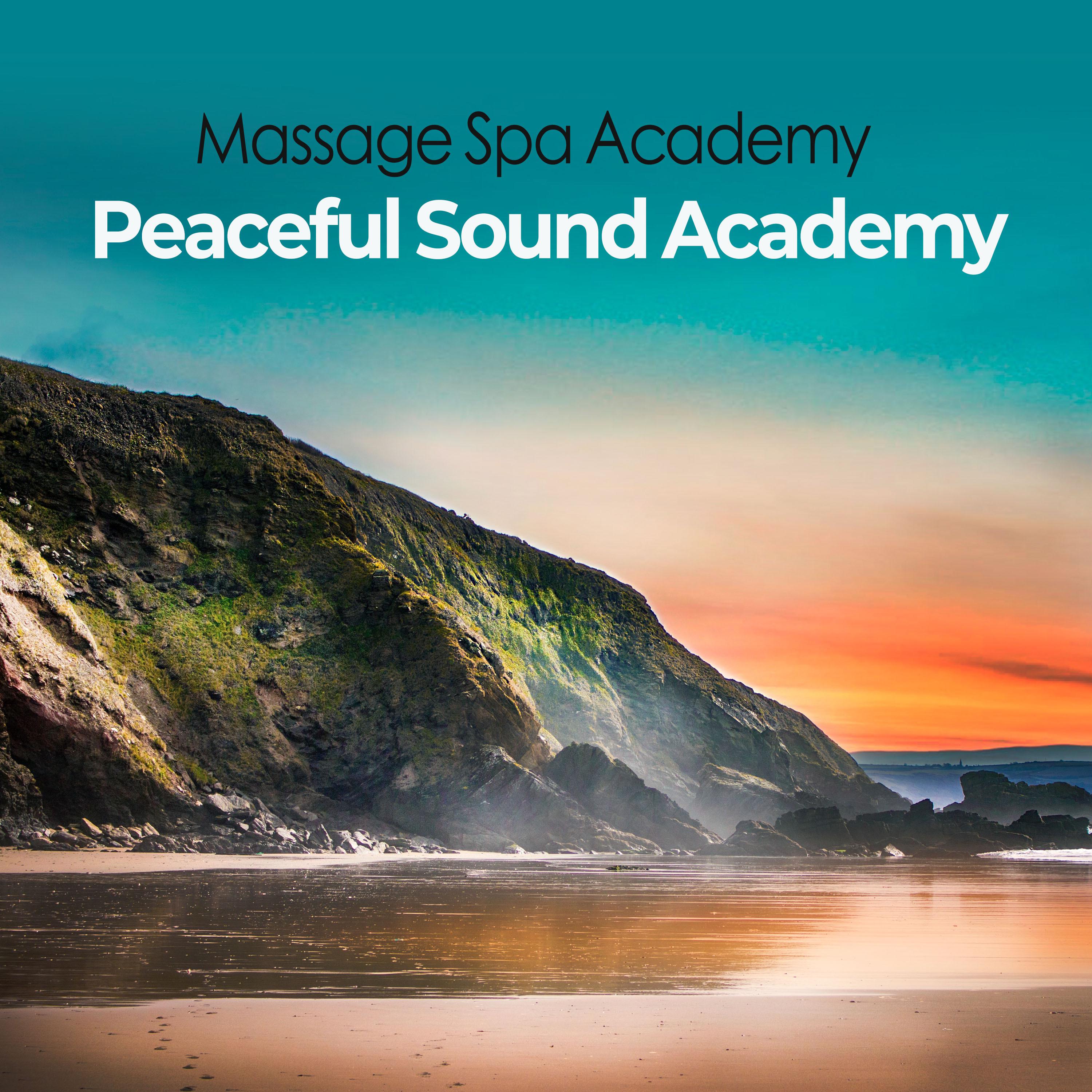 Peaceful Sound Academy