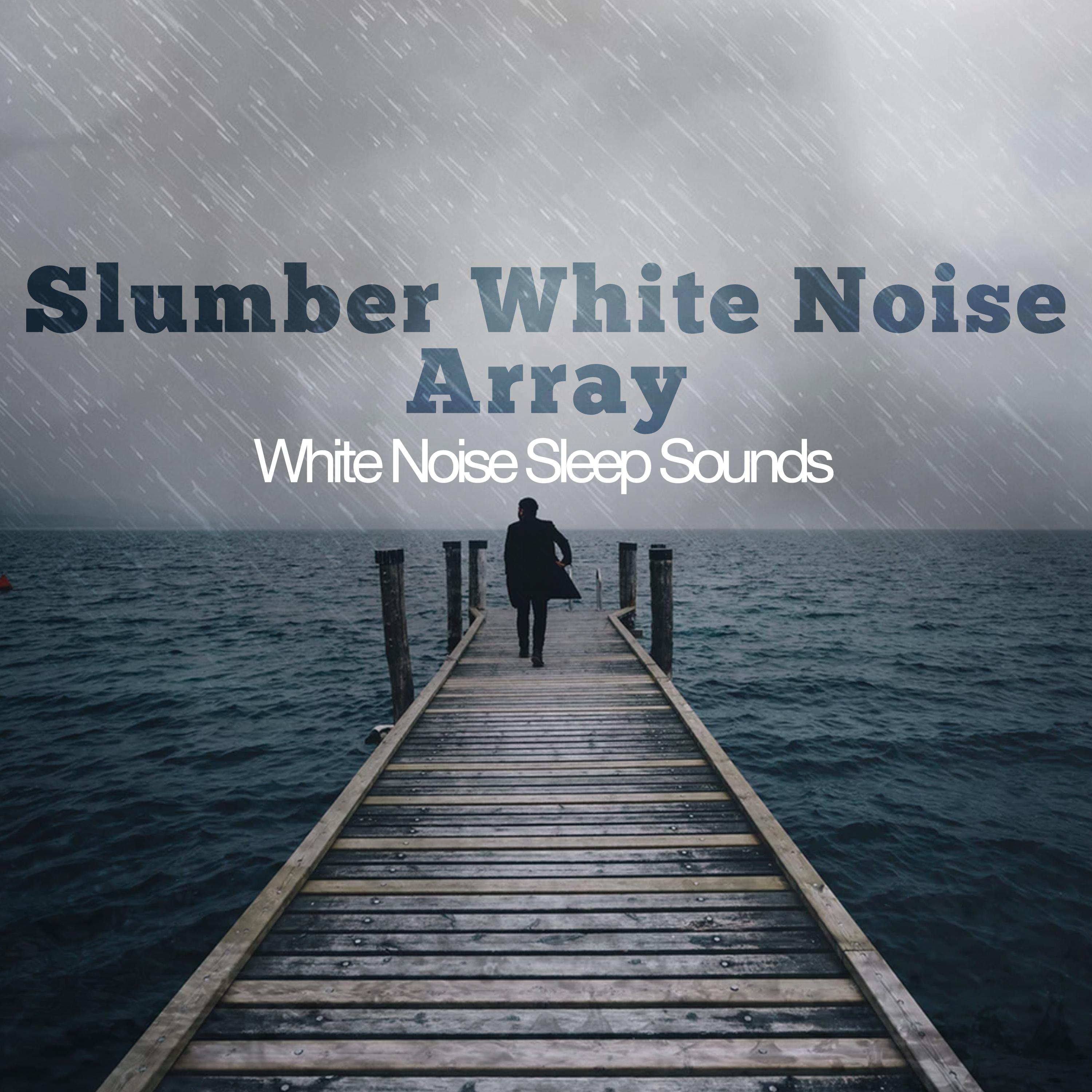 Slumber White Noise Array