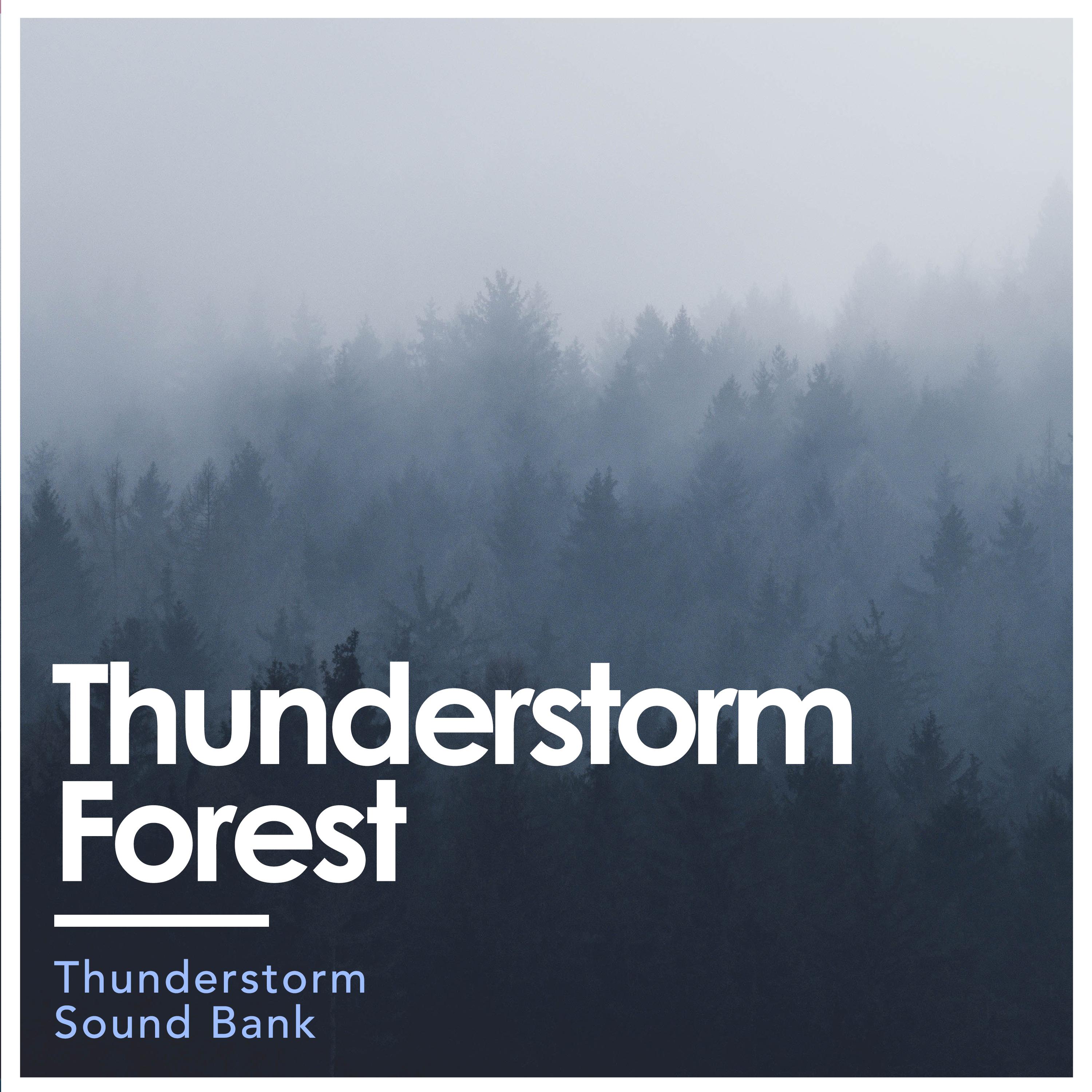 Thunderstorm Forest