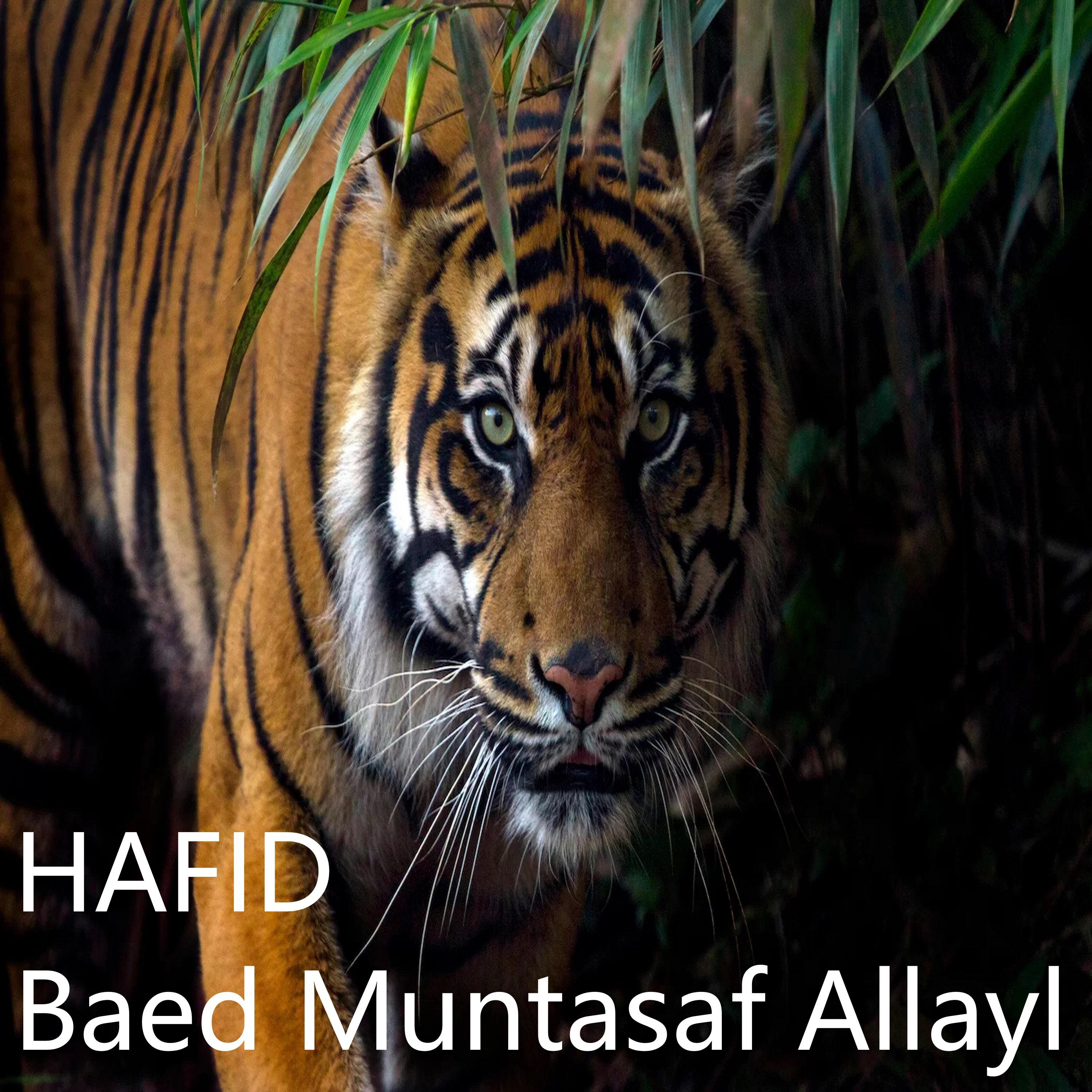 Baed Muntasaf Allayl