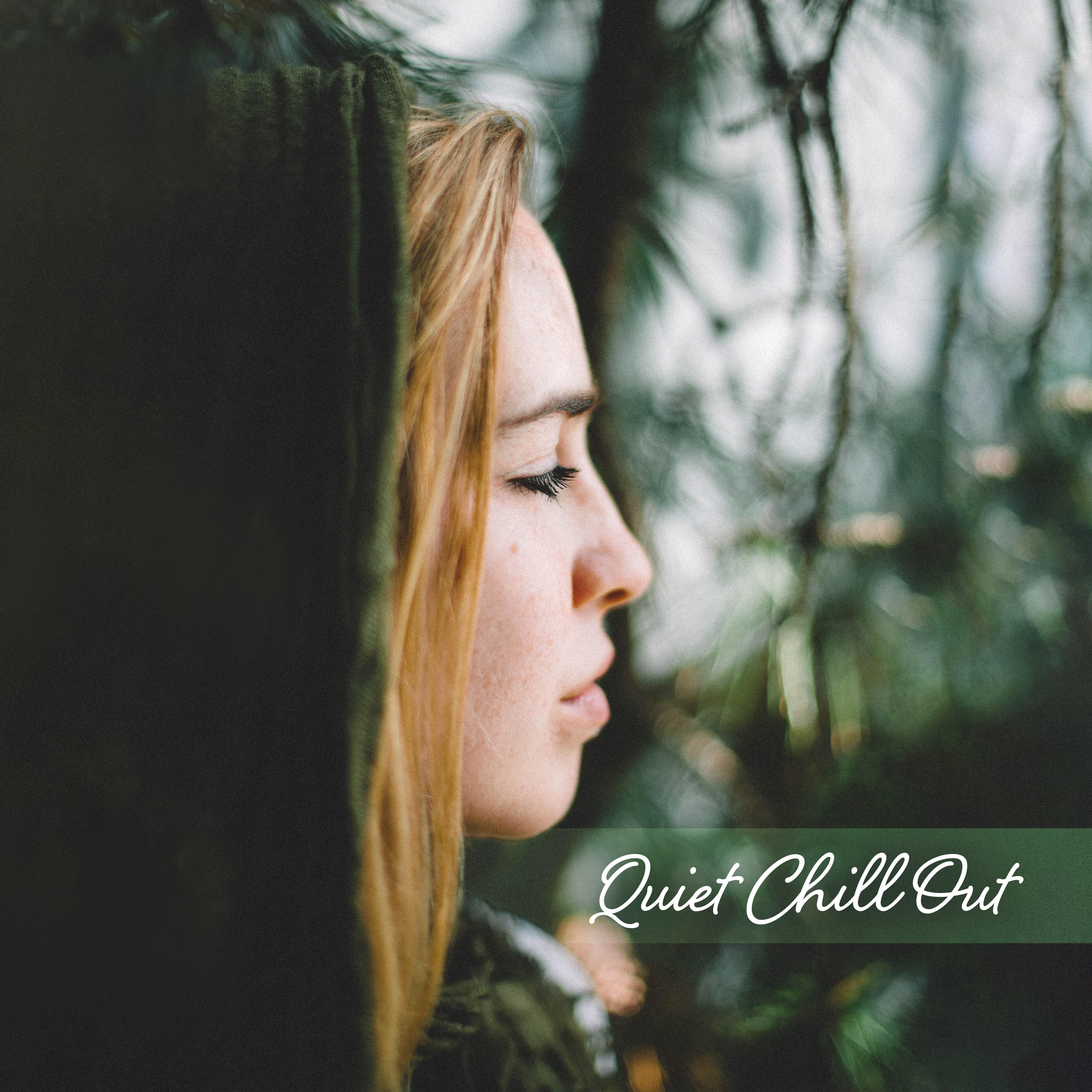 Quiet Chill Out: Calm, Relaxing Music for the Time of Rest and Tranquillity
