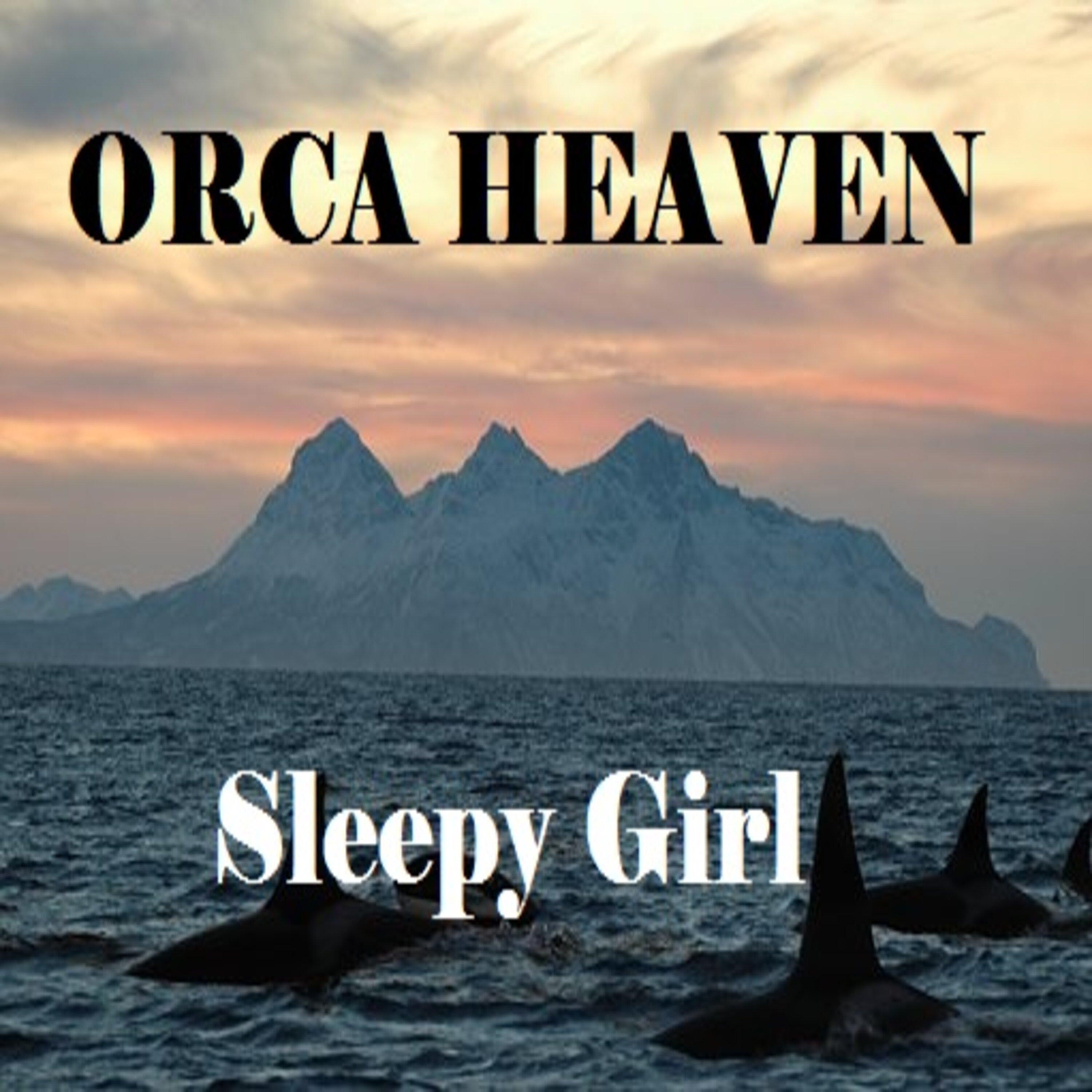 Orca Heaven