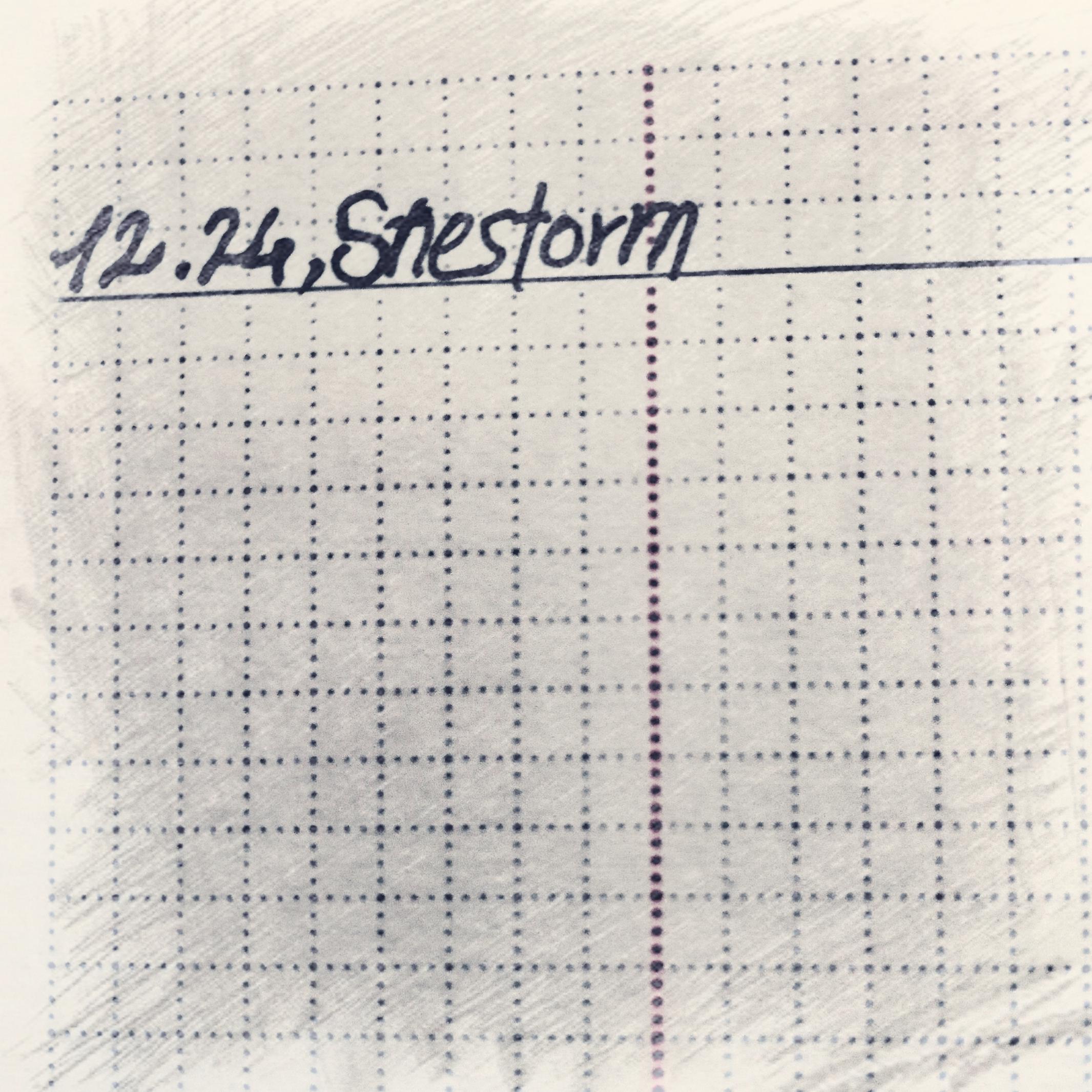 12.24,Snestorm