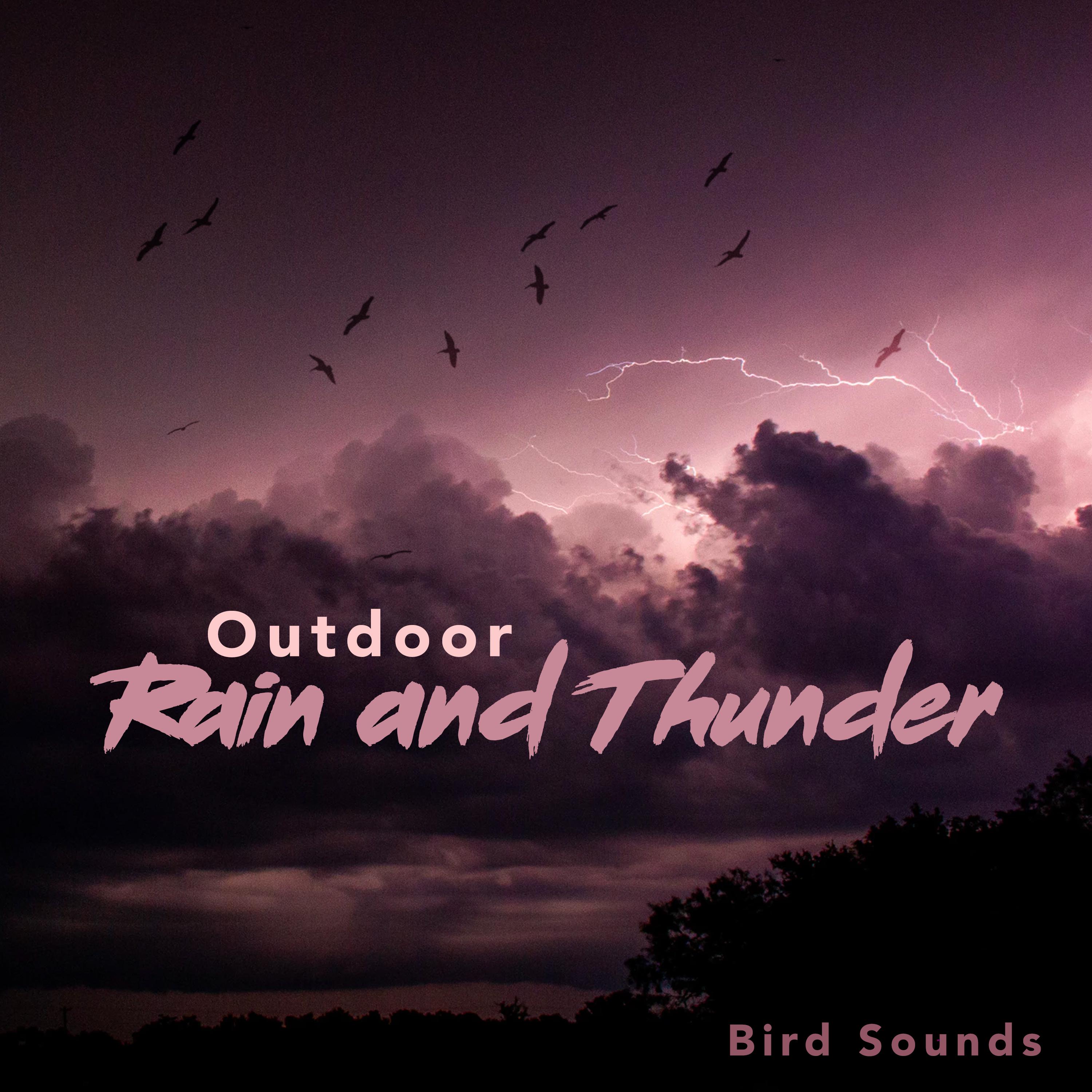 Outdoor Rain and Thunder