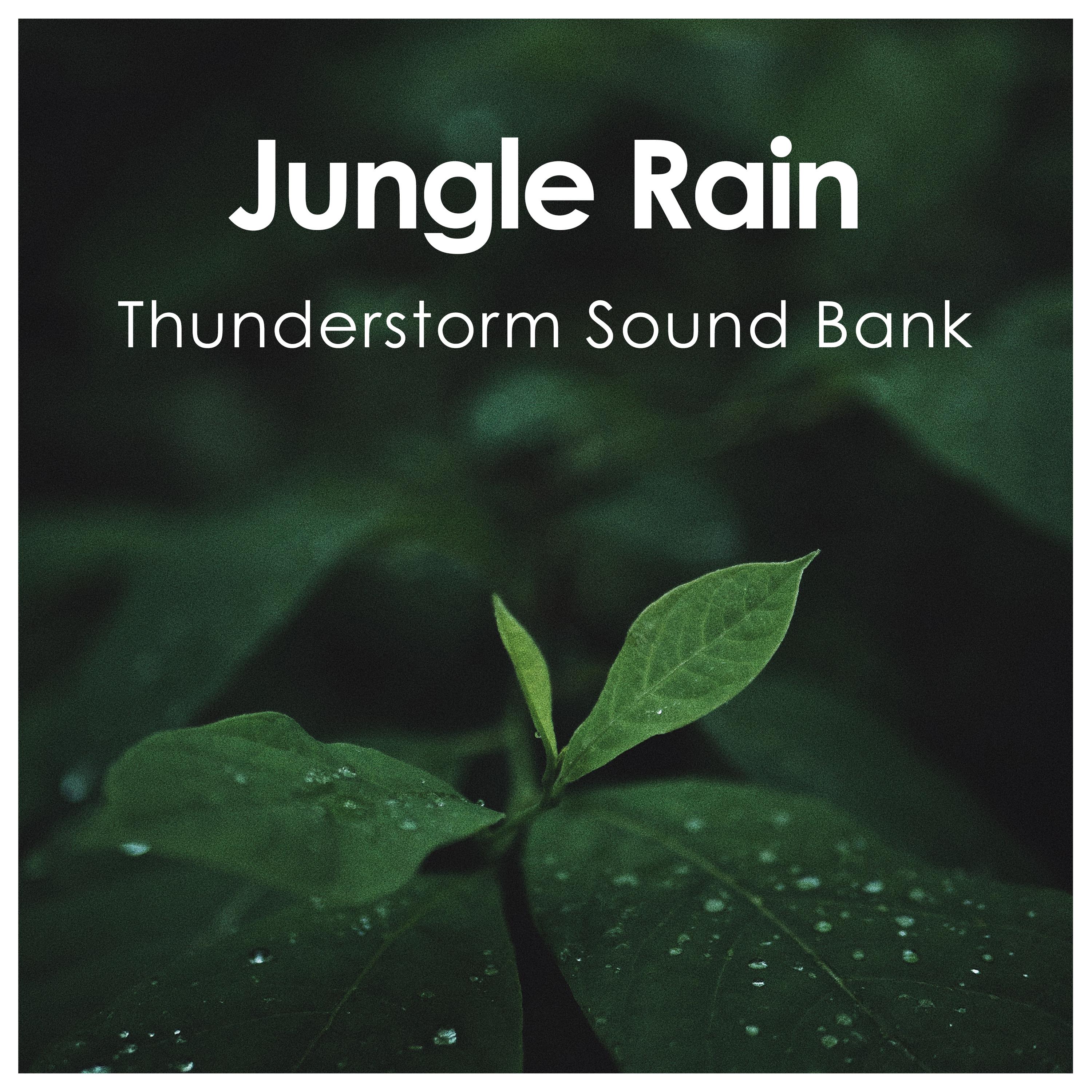 Jungle Rain