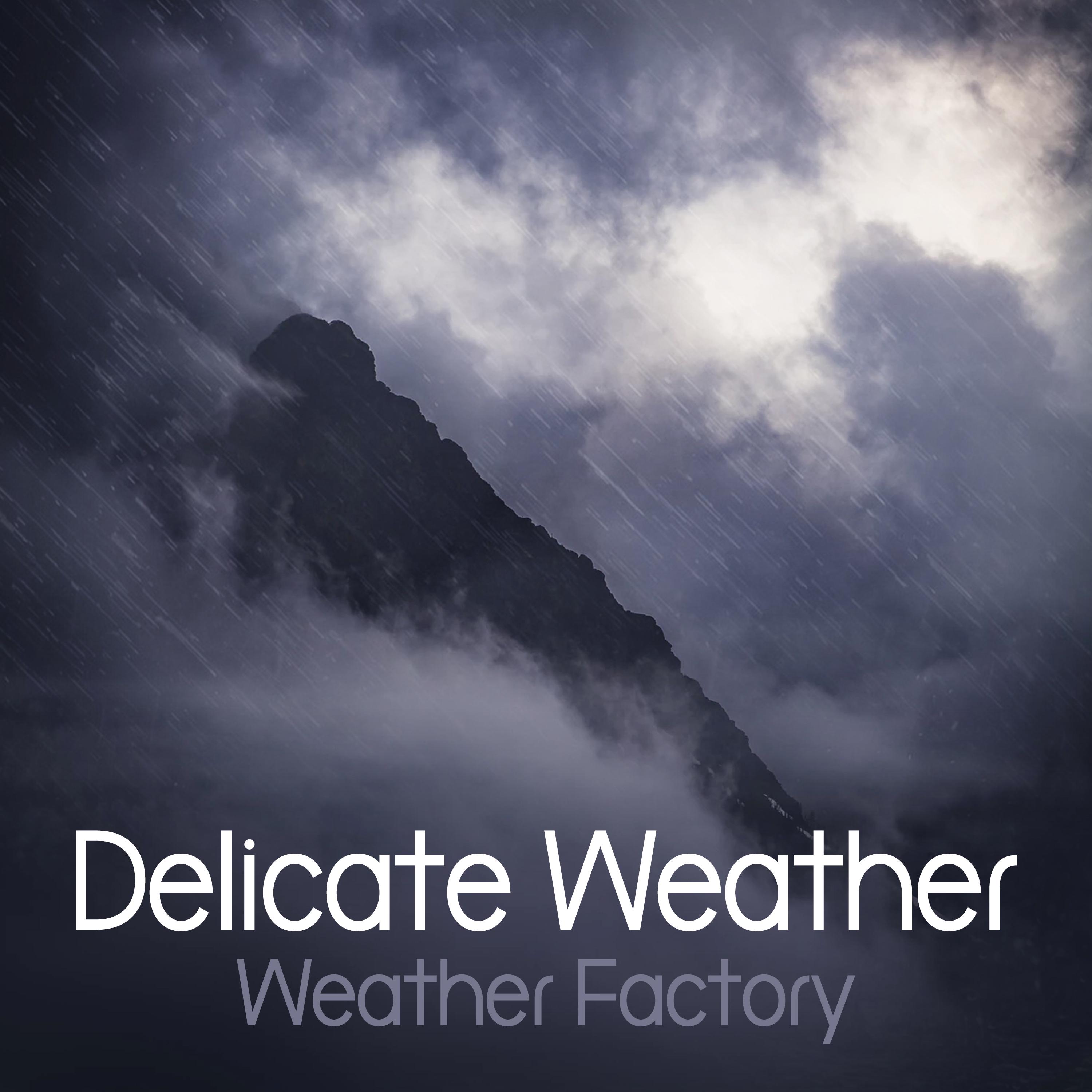Delicate Weather