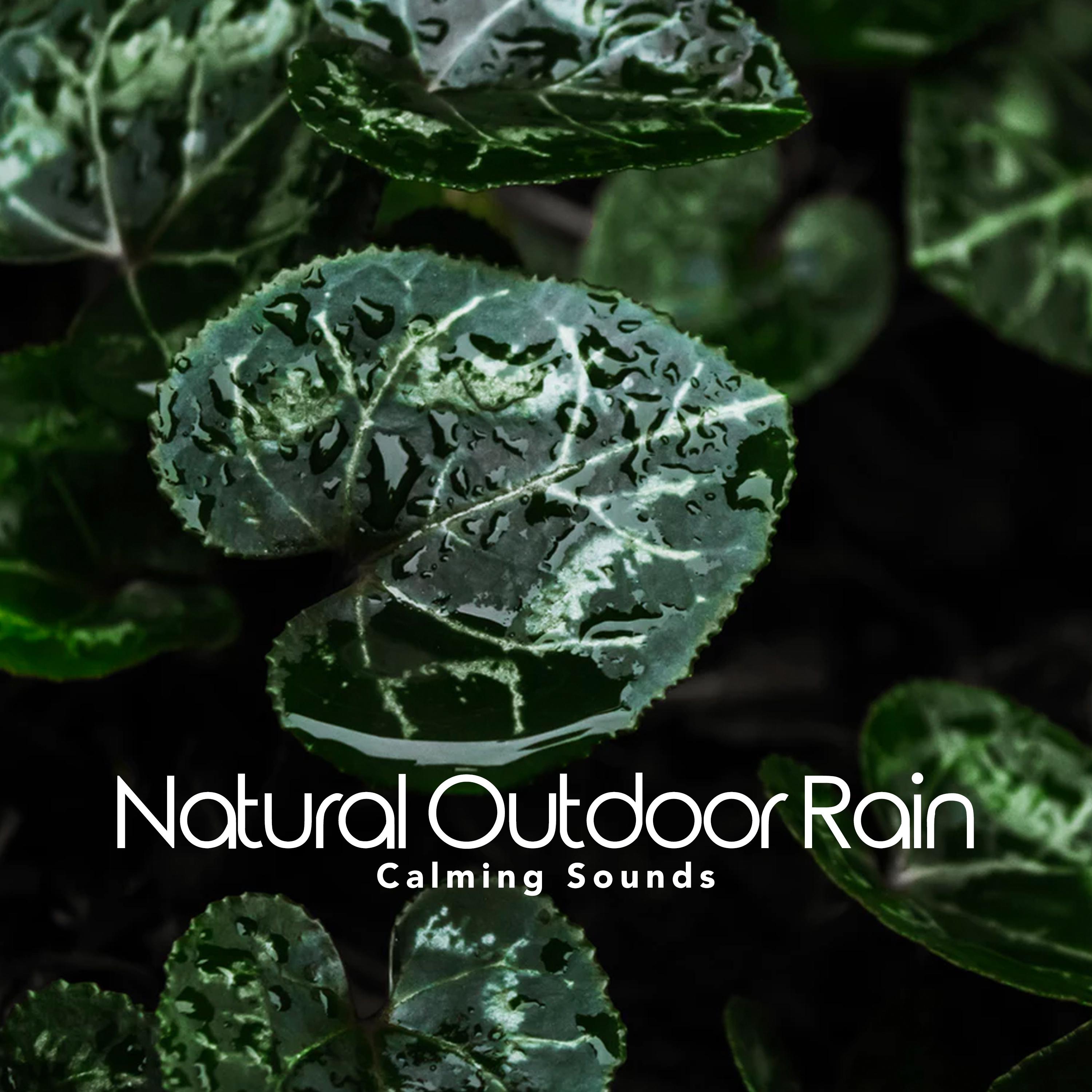 Natural Outdoor Rain