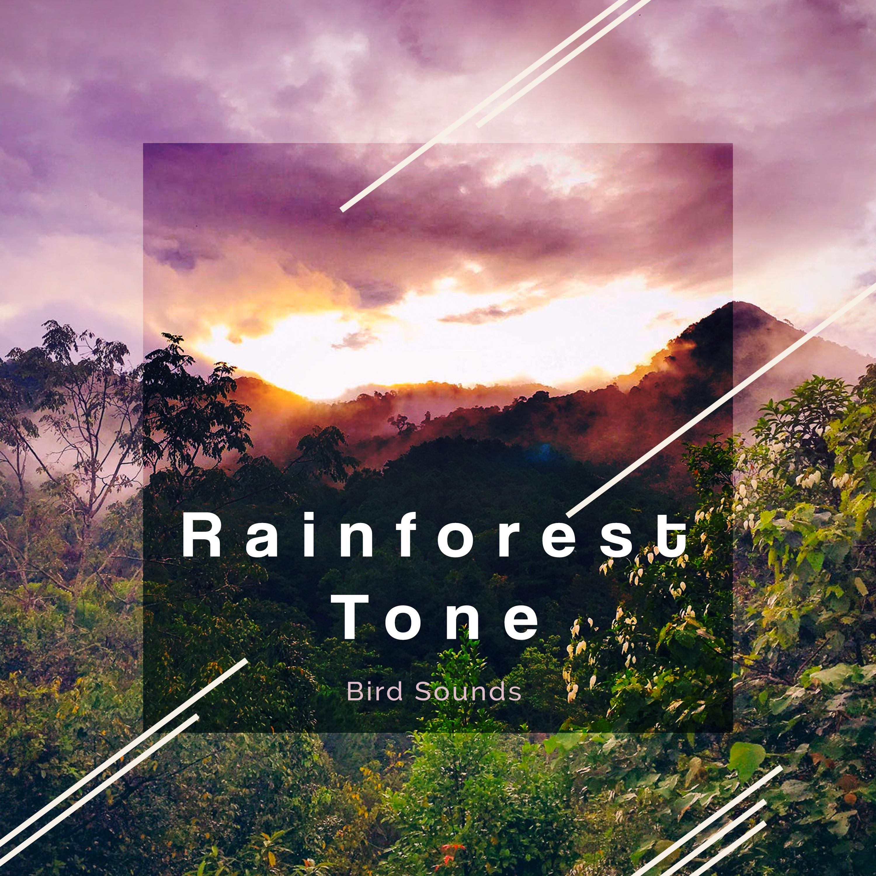 Rainforest Tone
