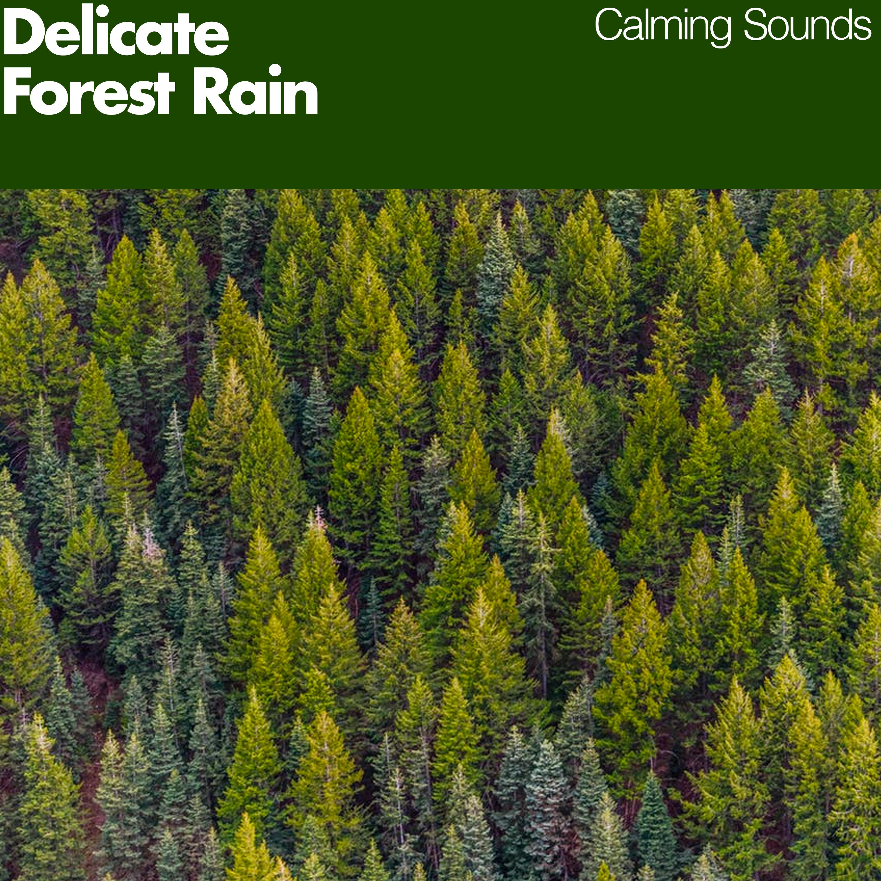 Delicate Forest Rain
