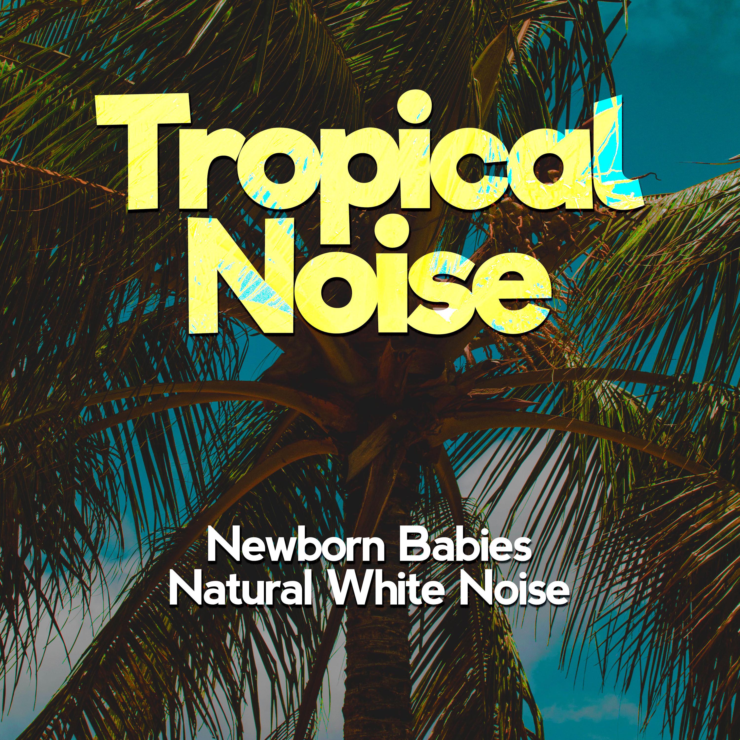 Tropical Noise