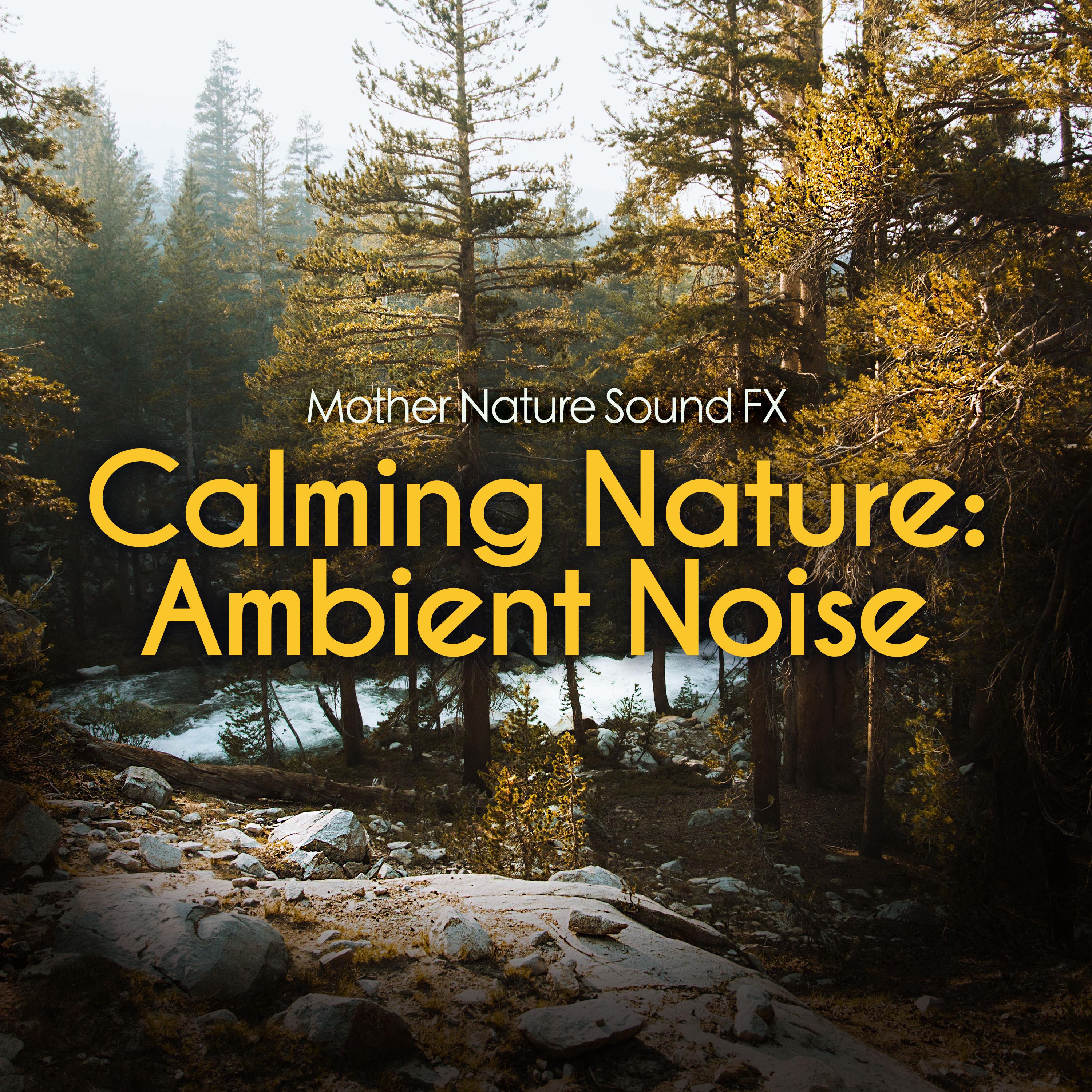 Calming Nature: Ambient Noise