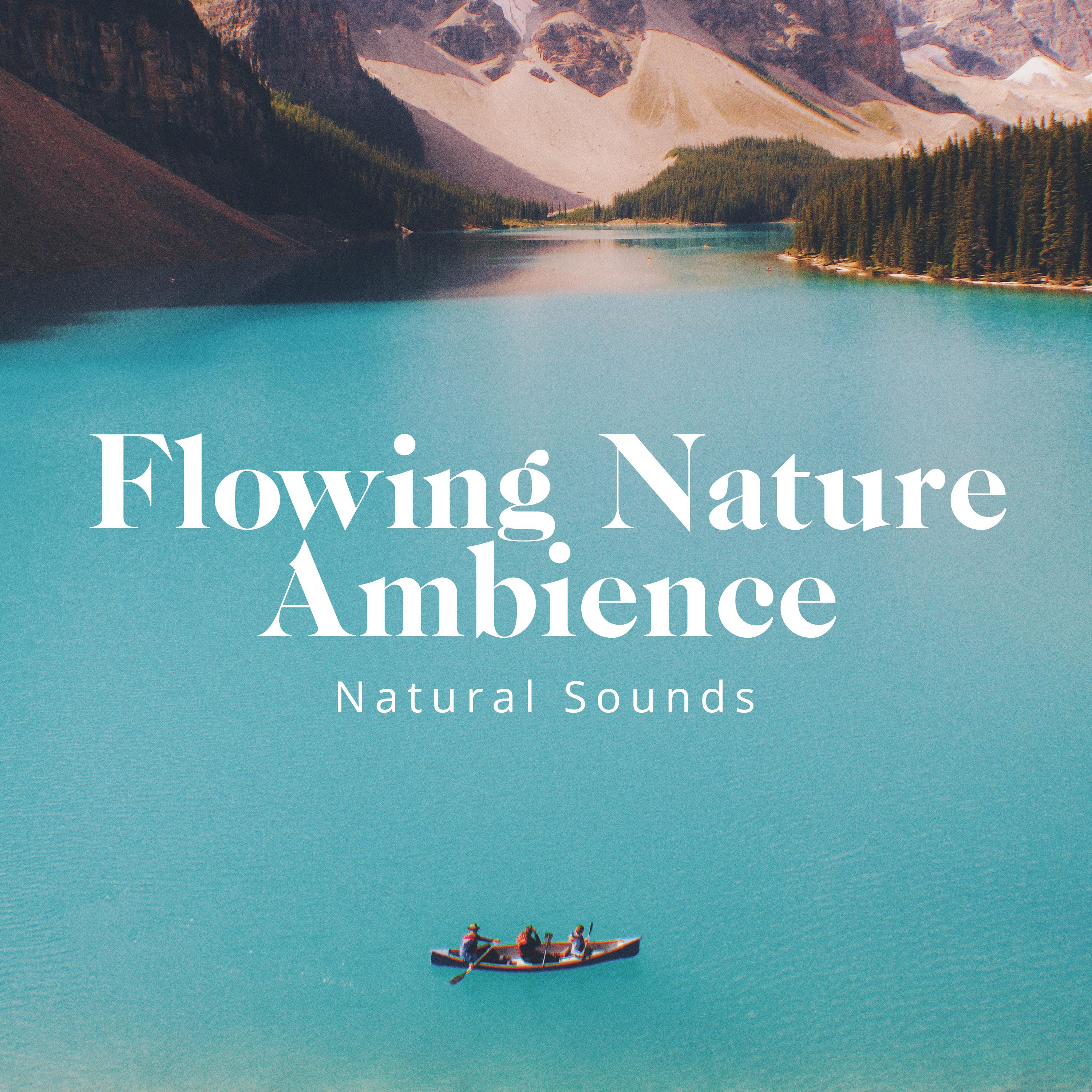 Flowing Nature Ambience