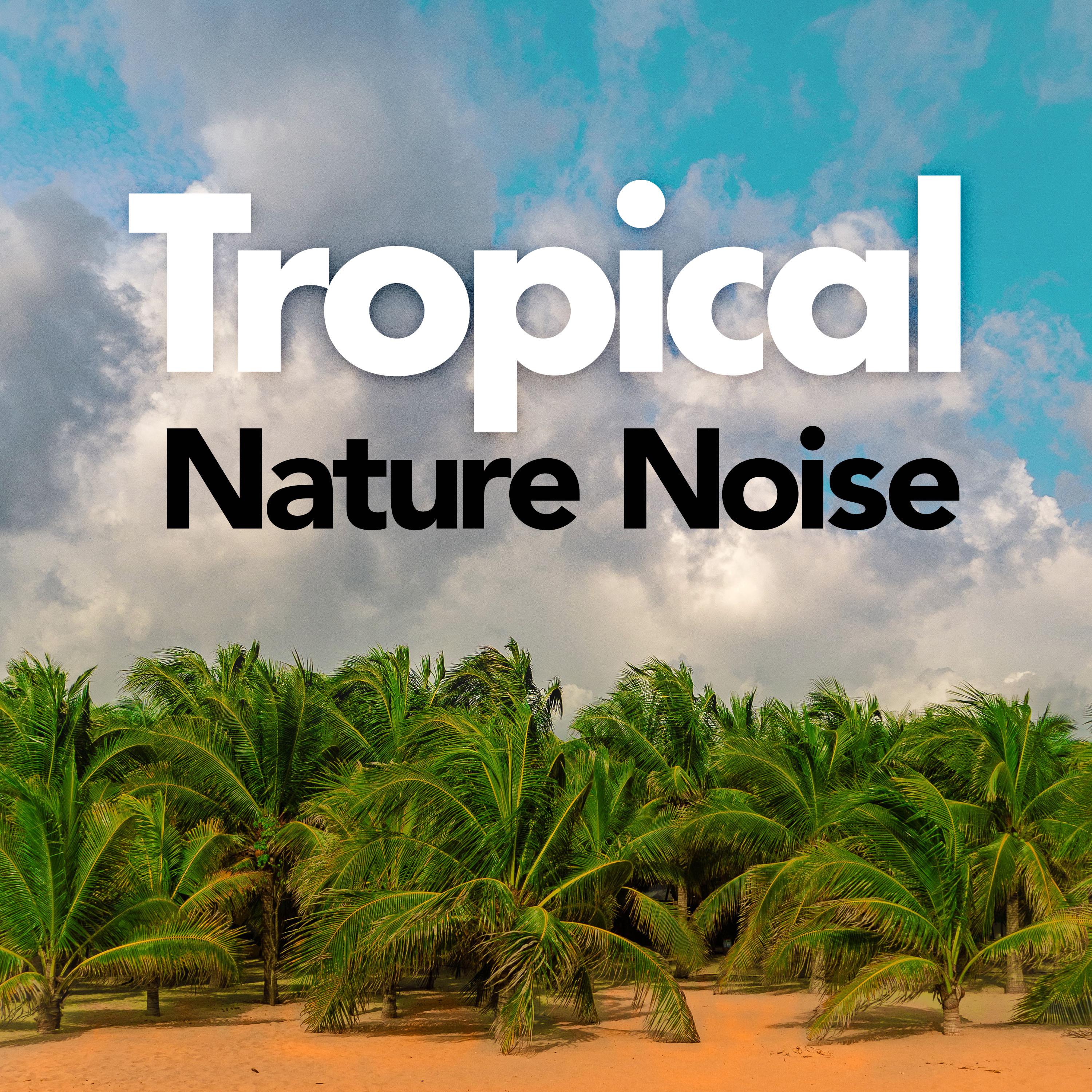 Tropical Nature Noise