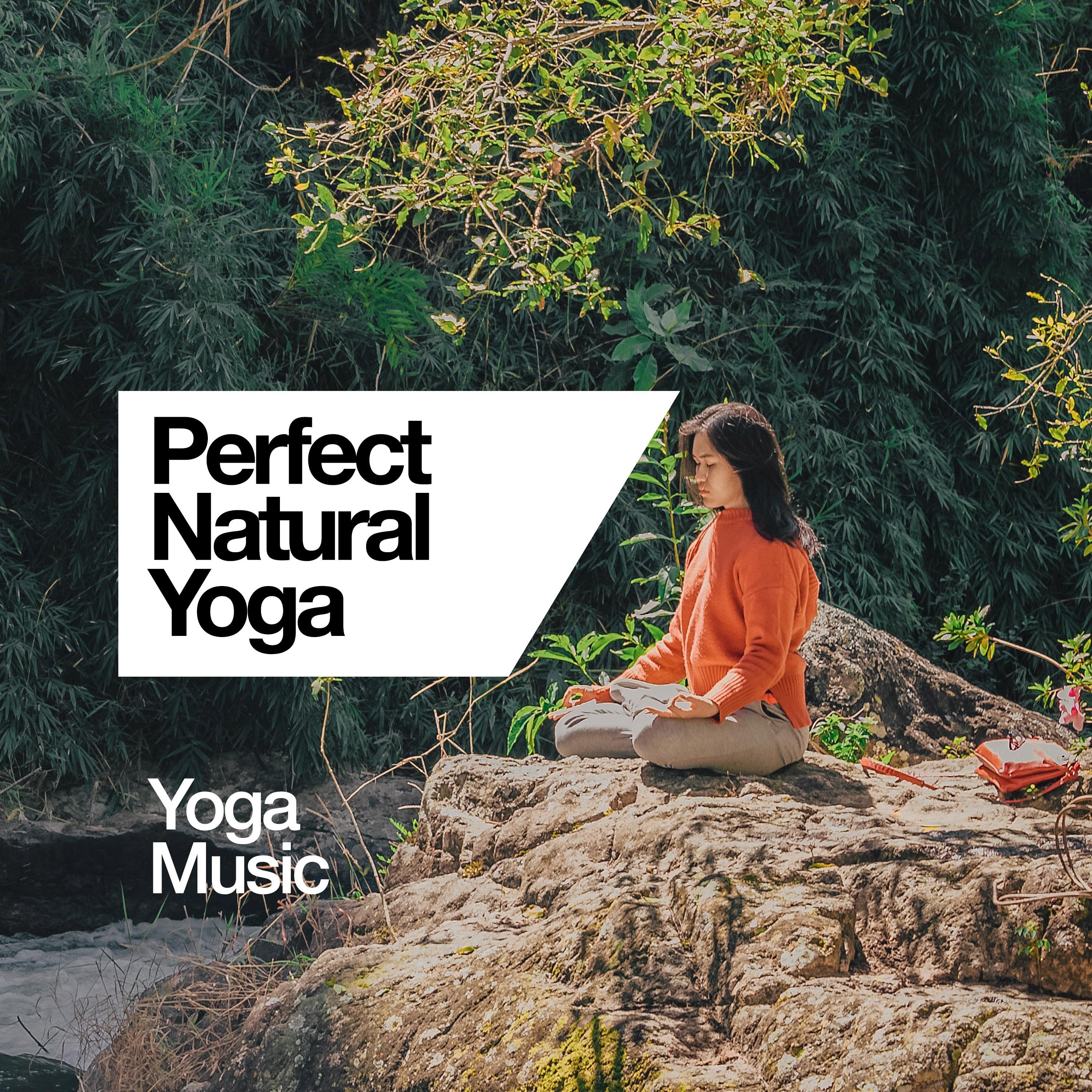 Perfect Nature Yoga