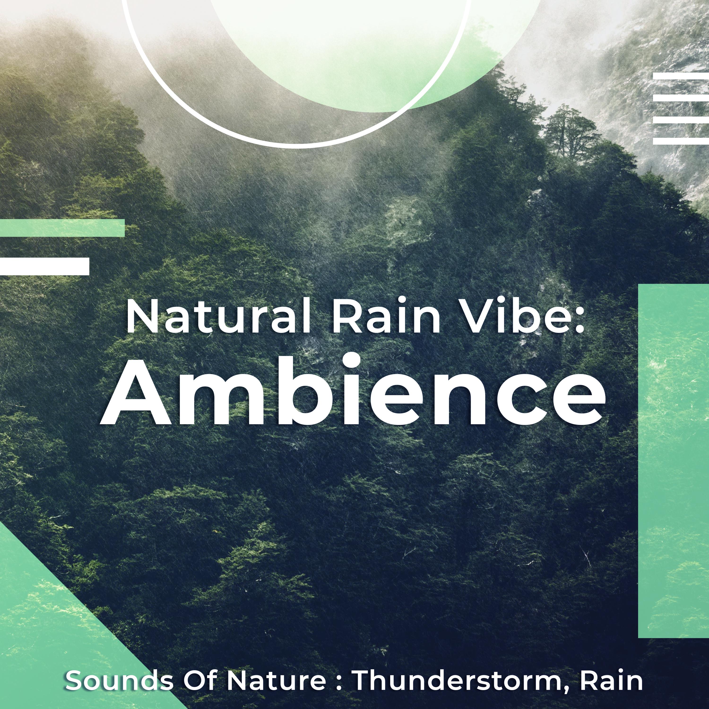 Natural Rain Vibe: Ambience