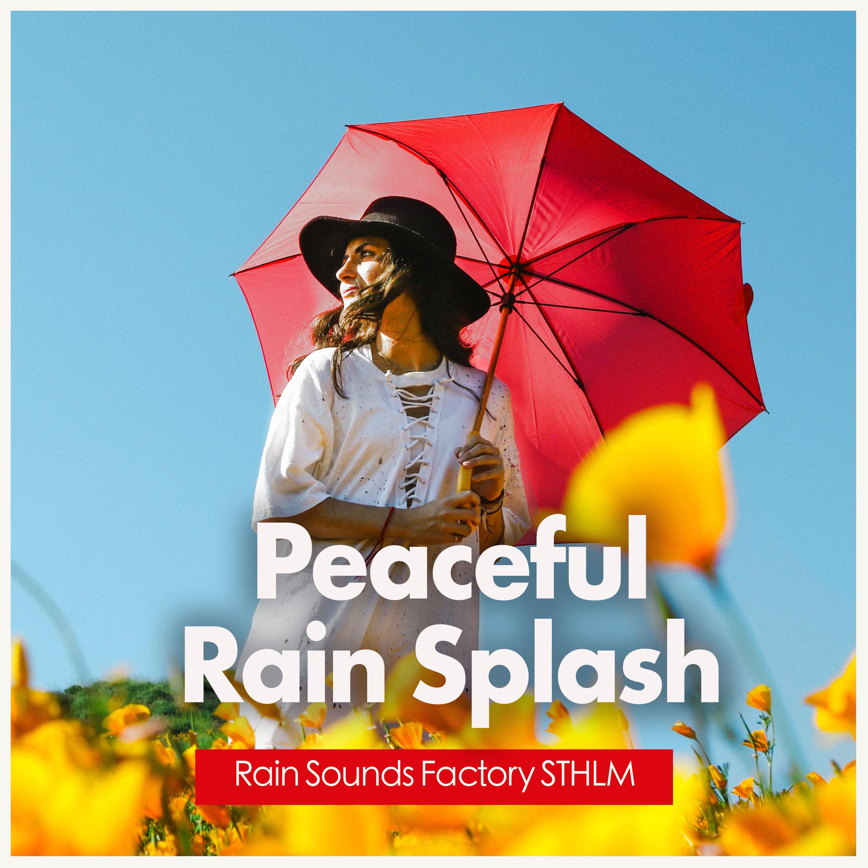 Peaceful Rain Splash