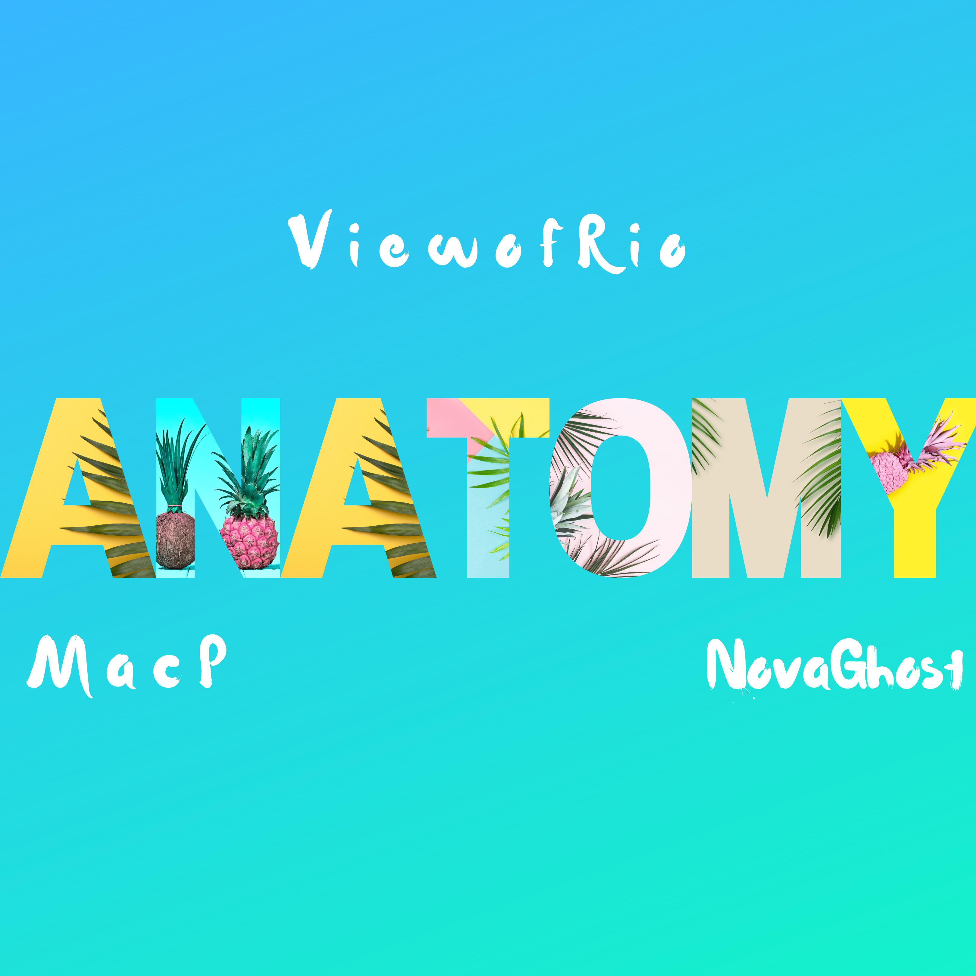 Anatomy