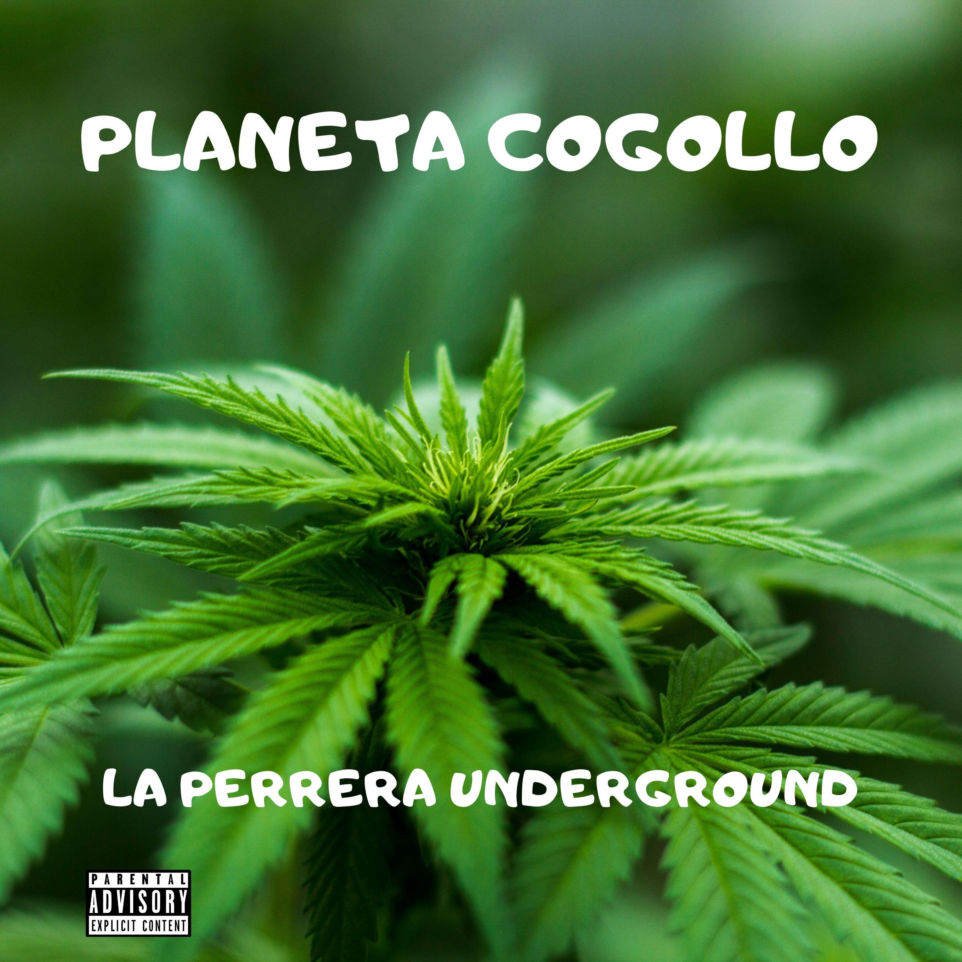 Planeta Cogollo